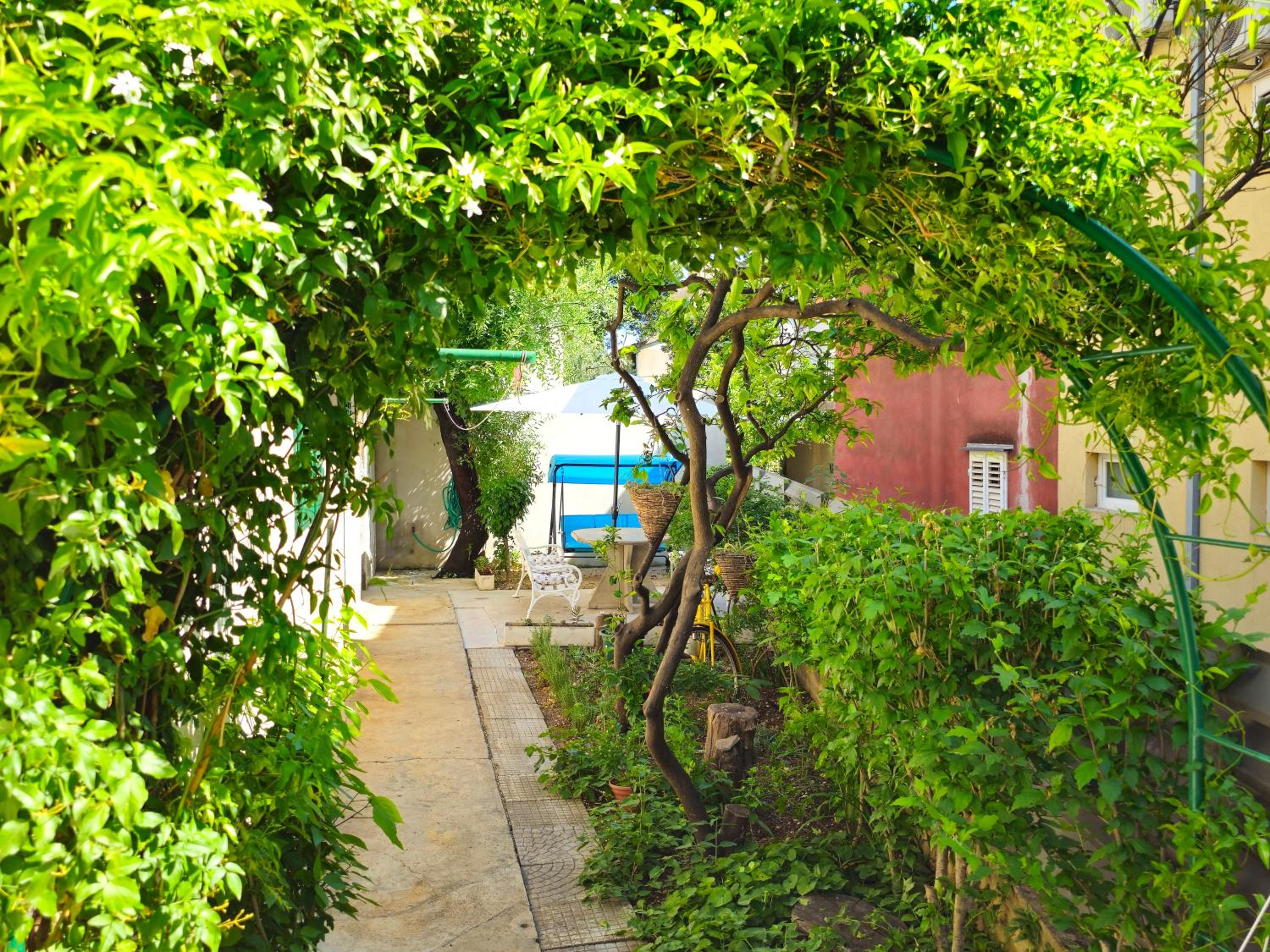 Photo 38