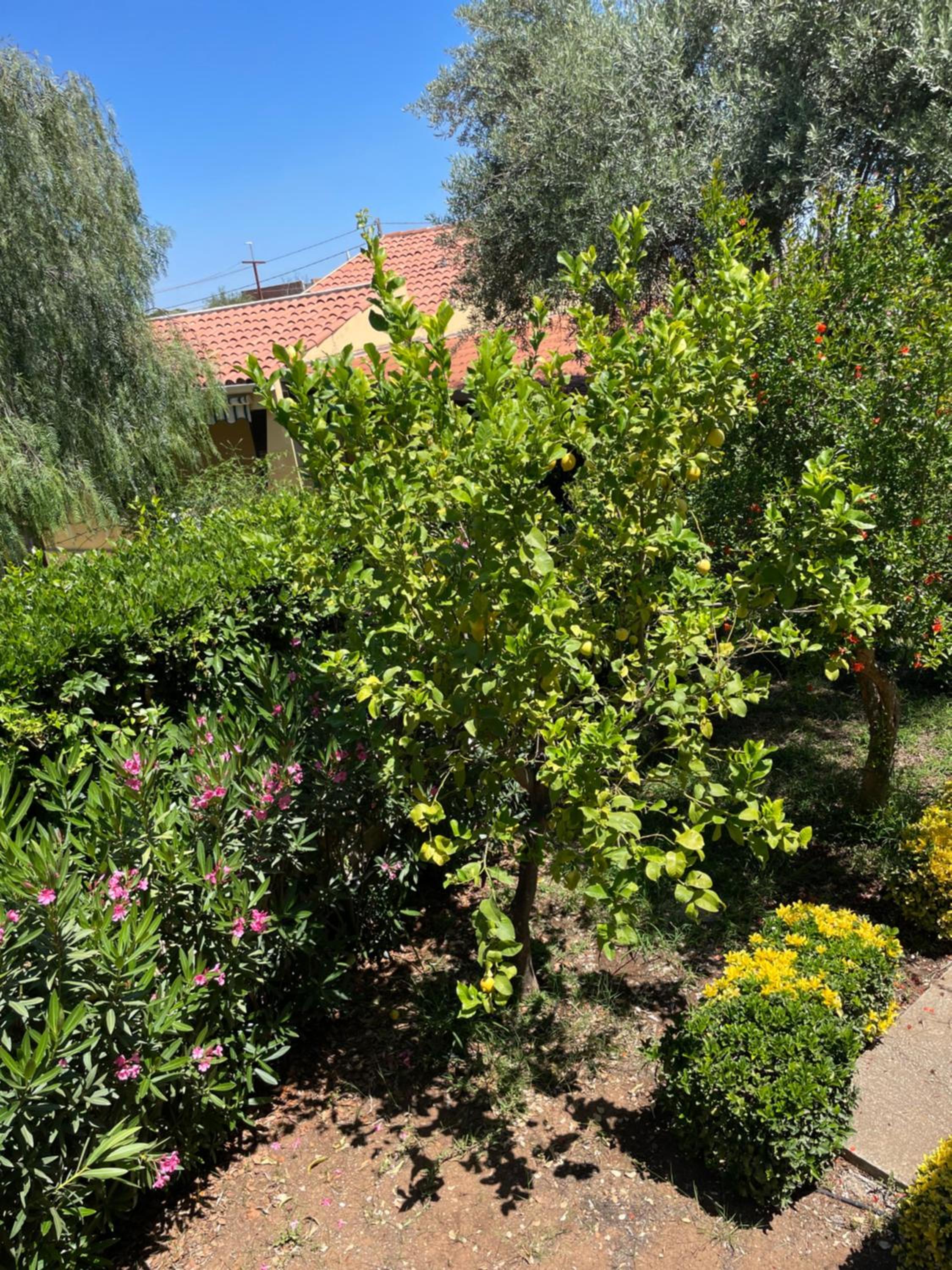 Fontane Bianche Guest Rooms photo 2