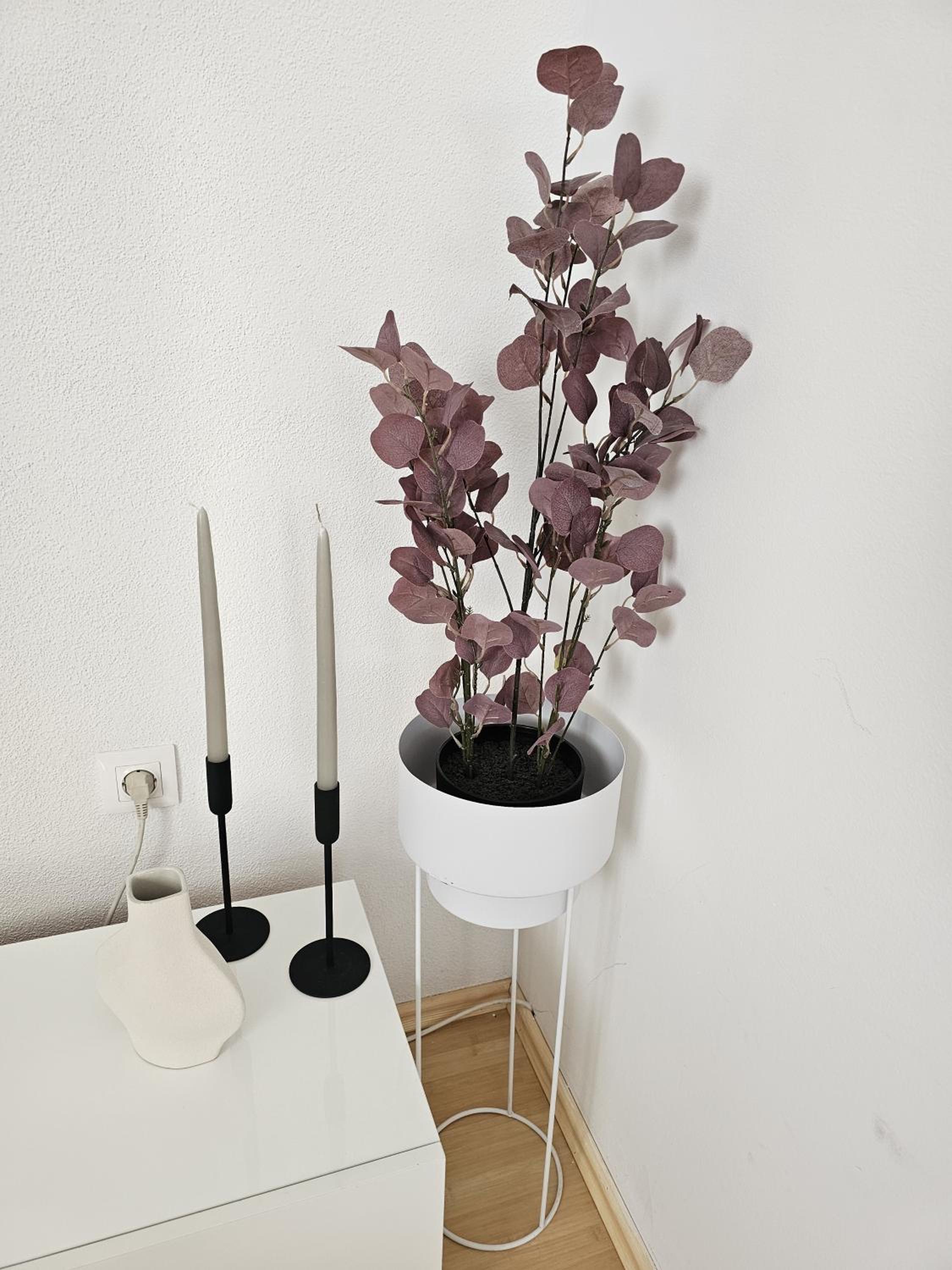 Apartment Zara