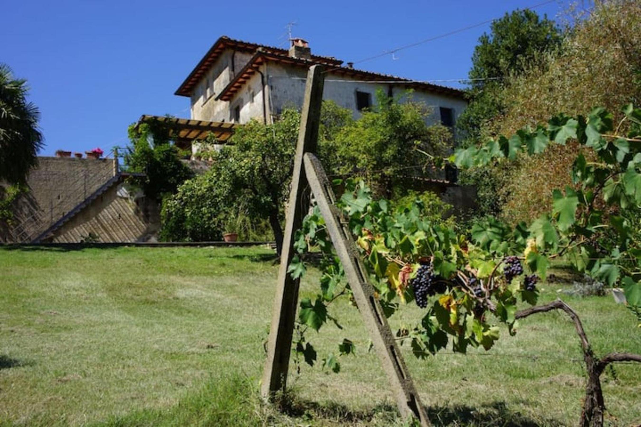 Polvereto relax con piscina privata