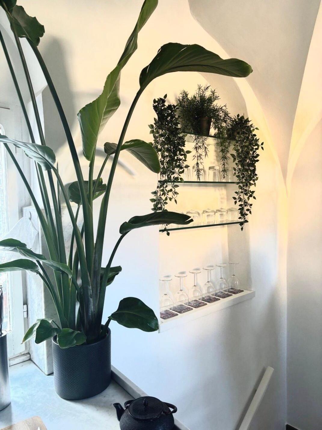 Navona Luxury Suite Apartment