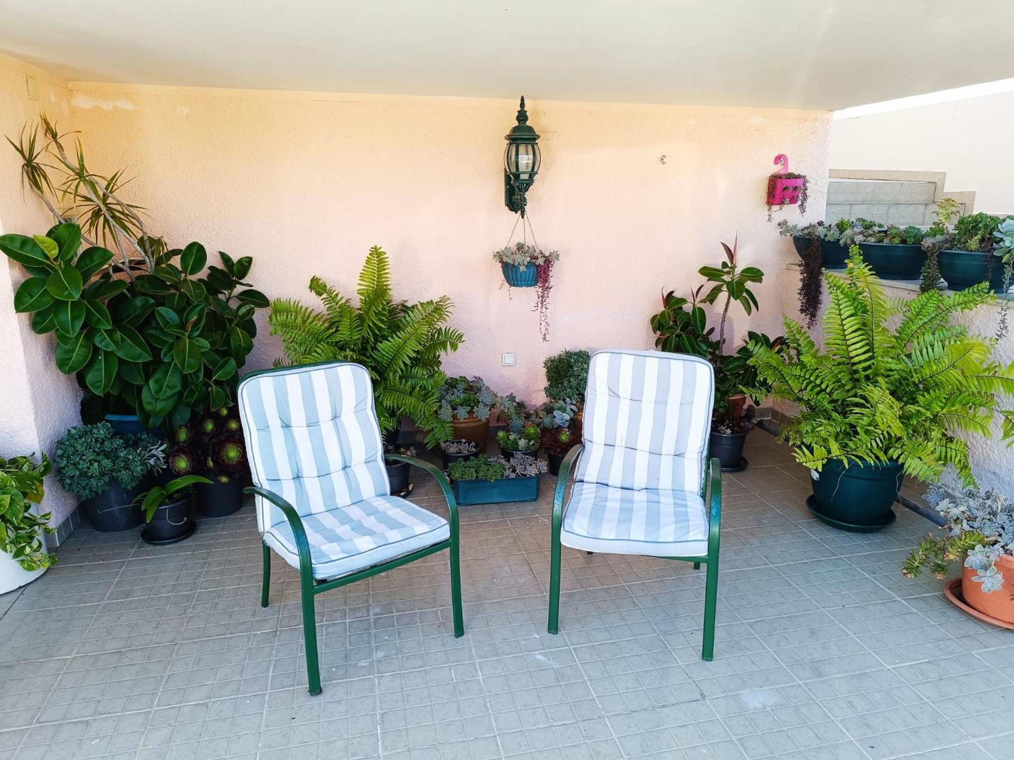 Caroça House