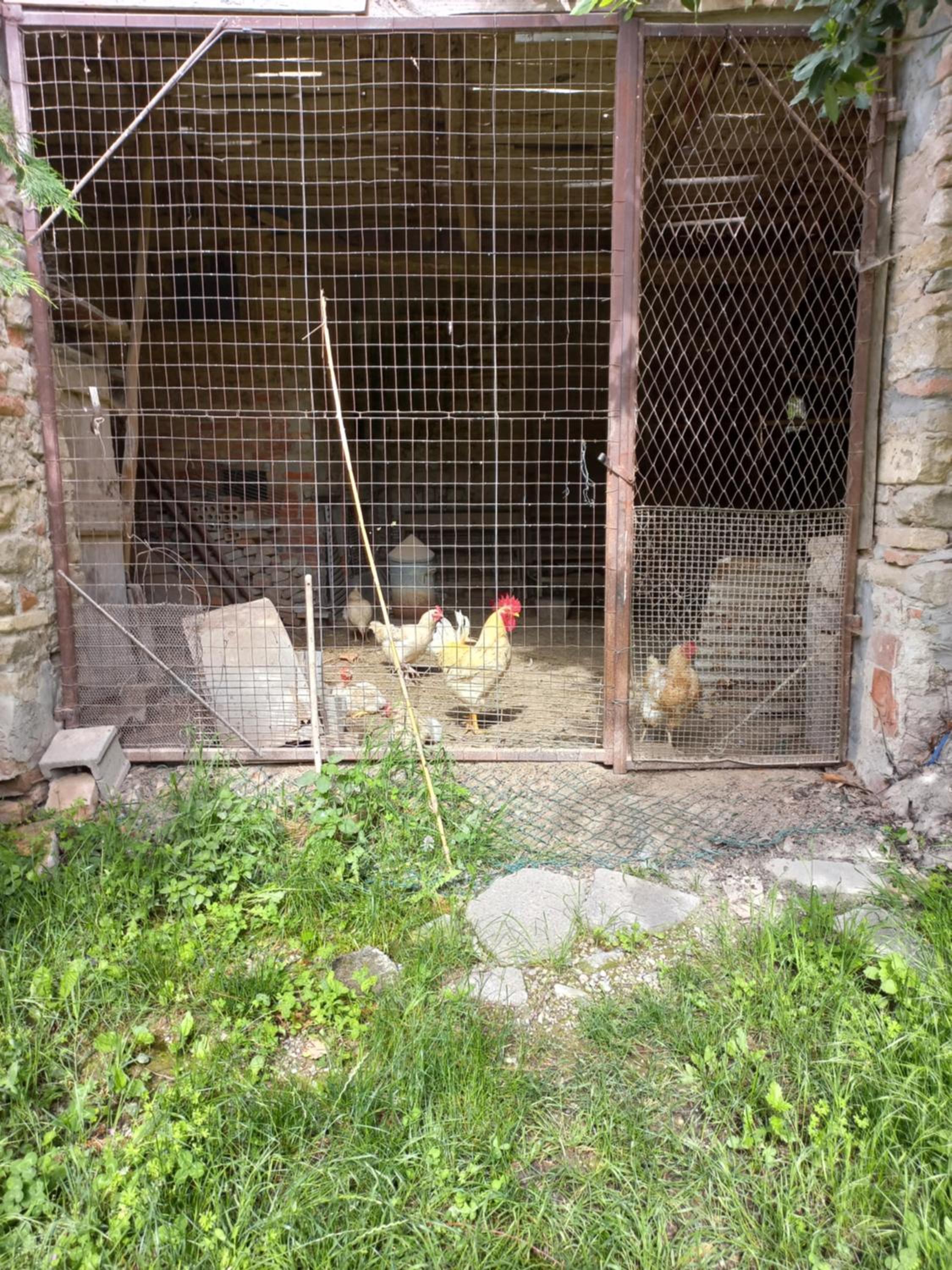 Photo 6