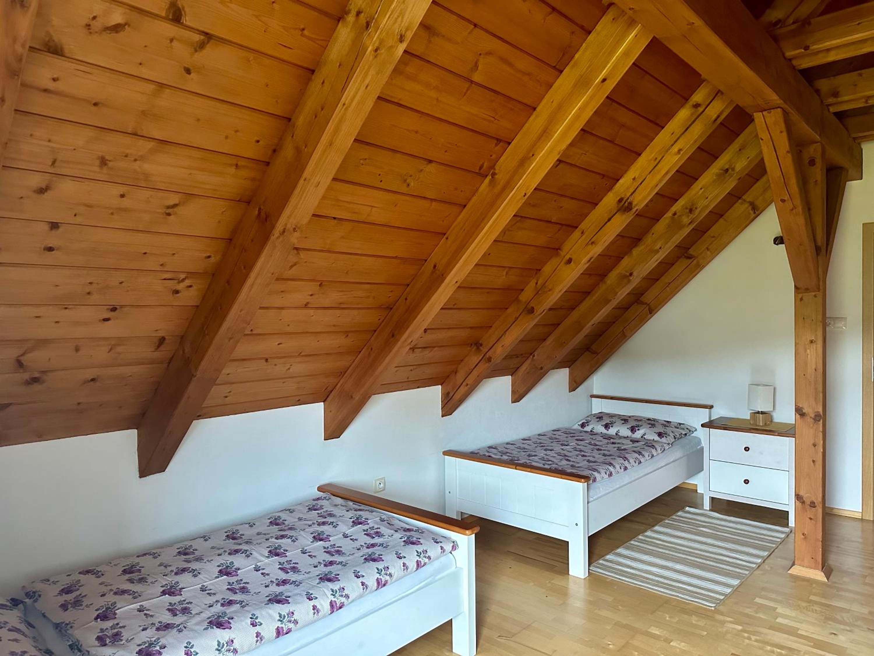 Apartmán Lazec