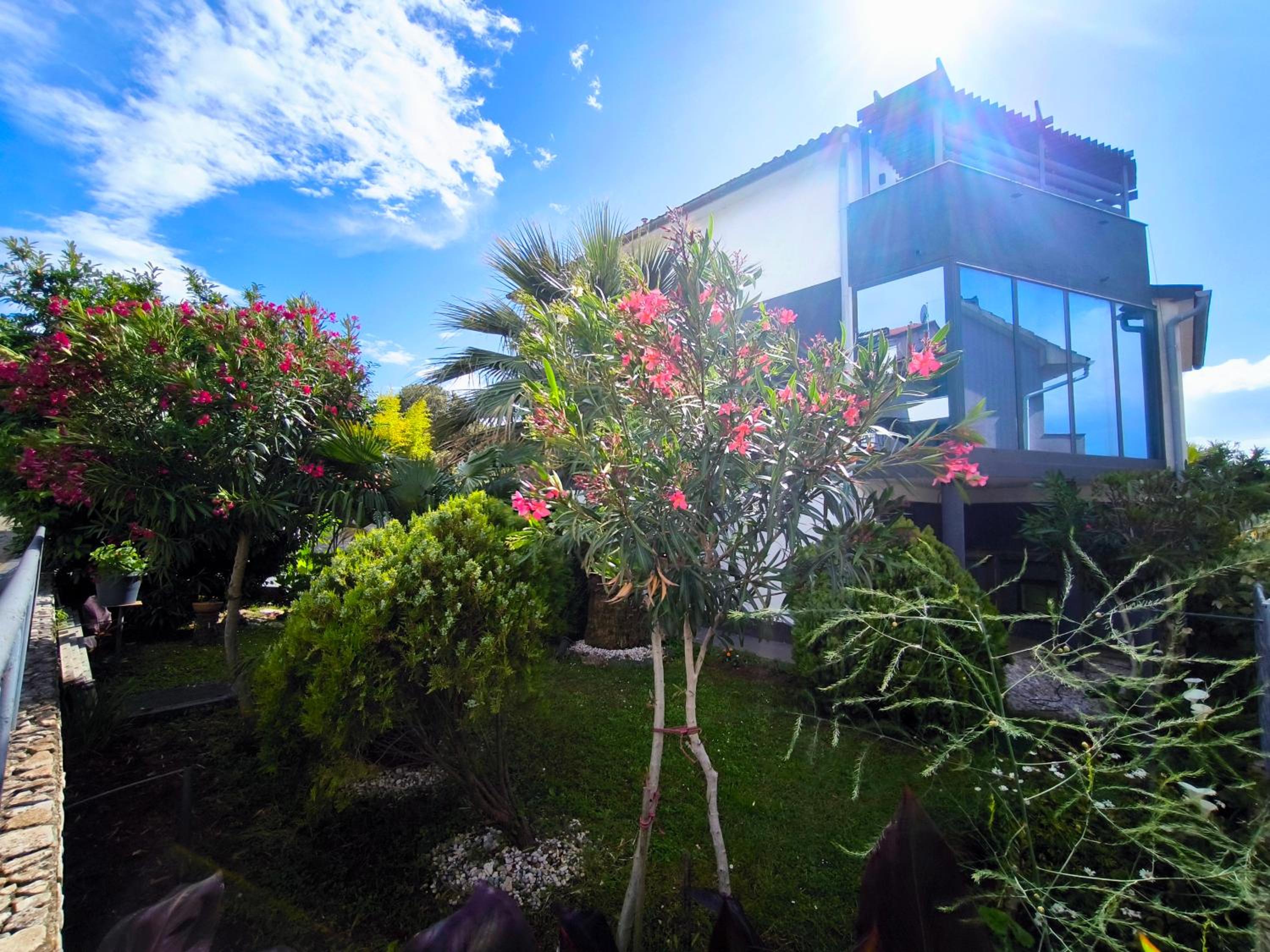 Apartmani Andrea view 4