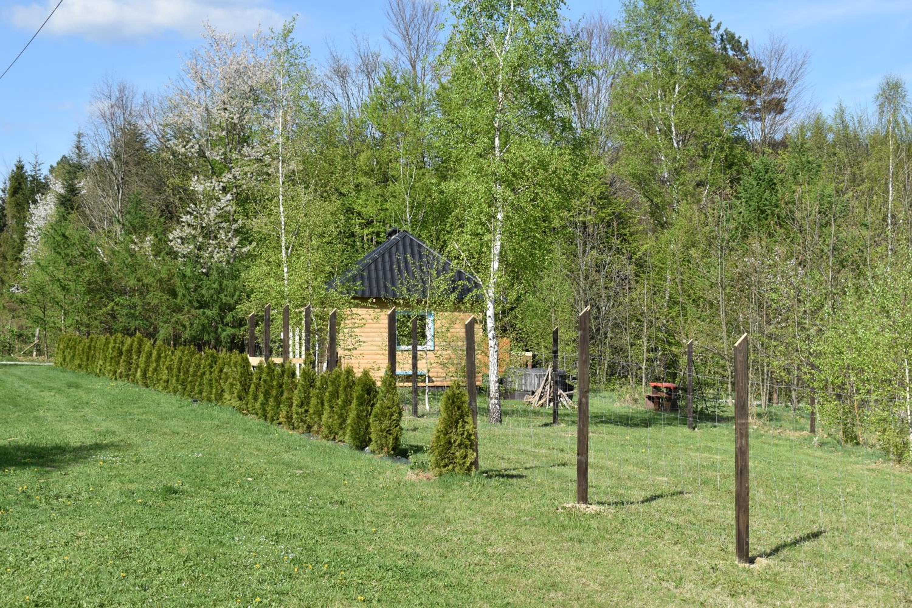 Photo 48