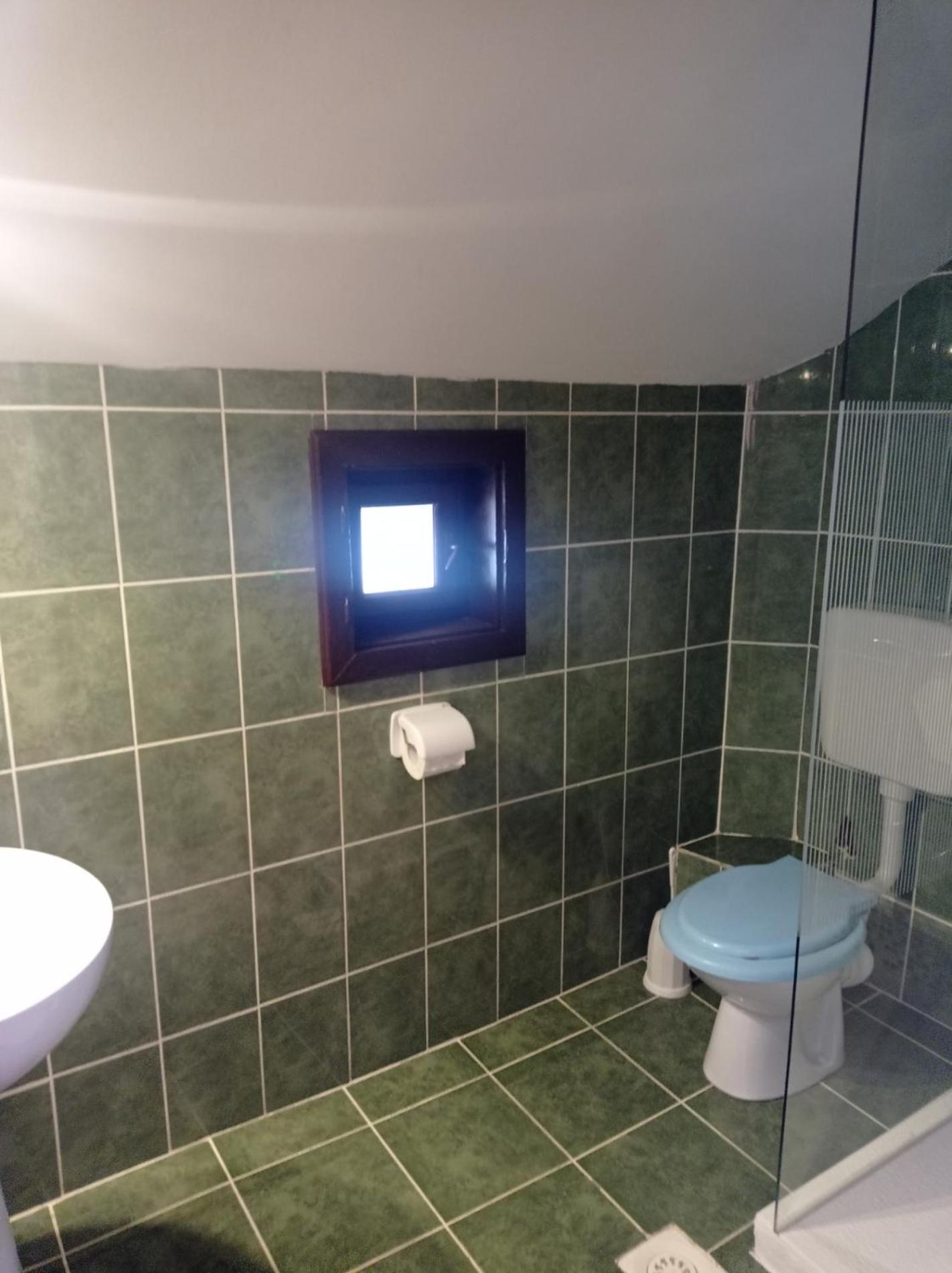 Pensiunea Orion view 5