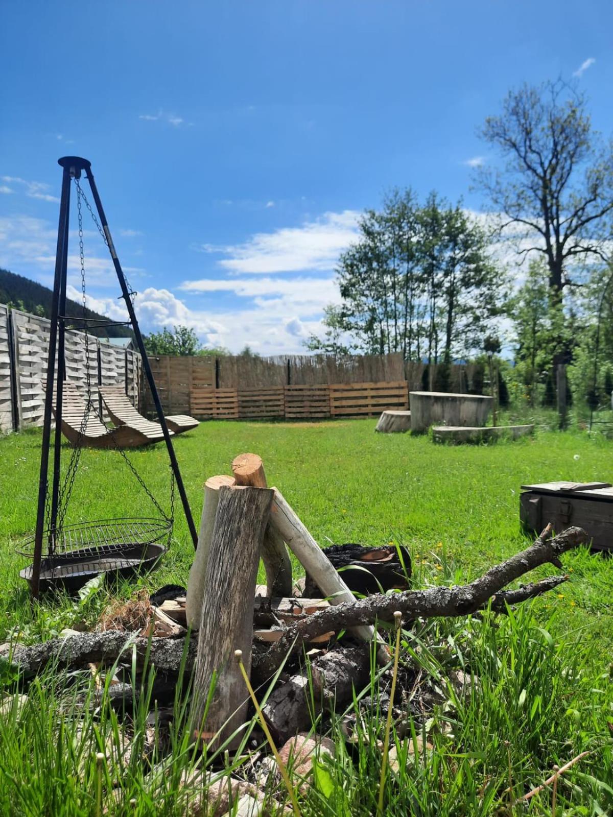 Photo 44