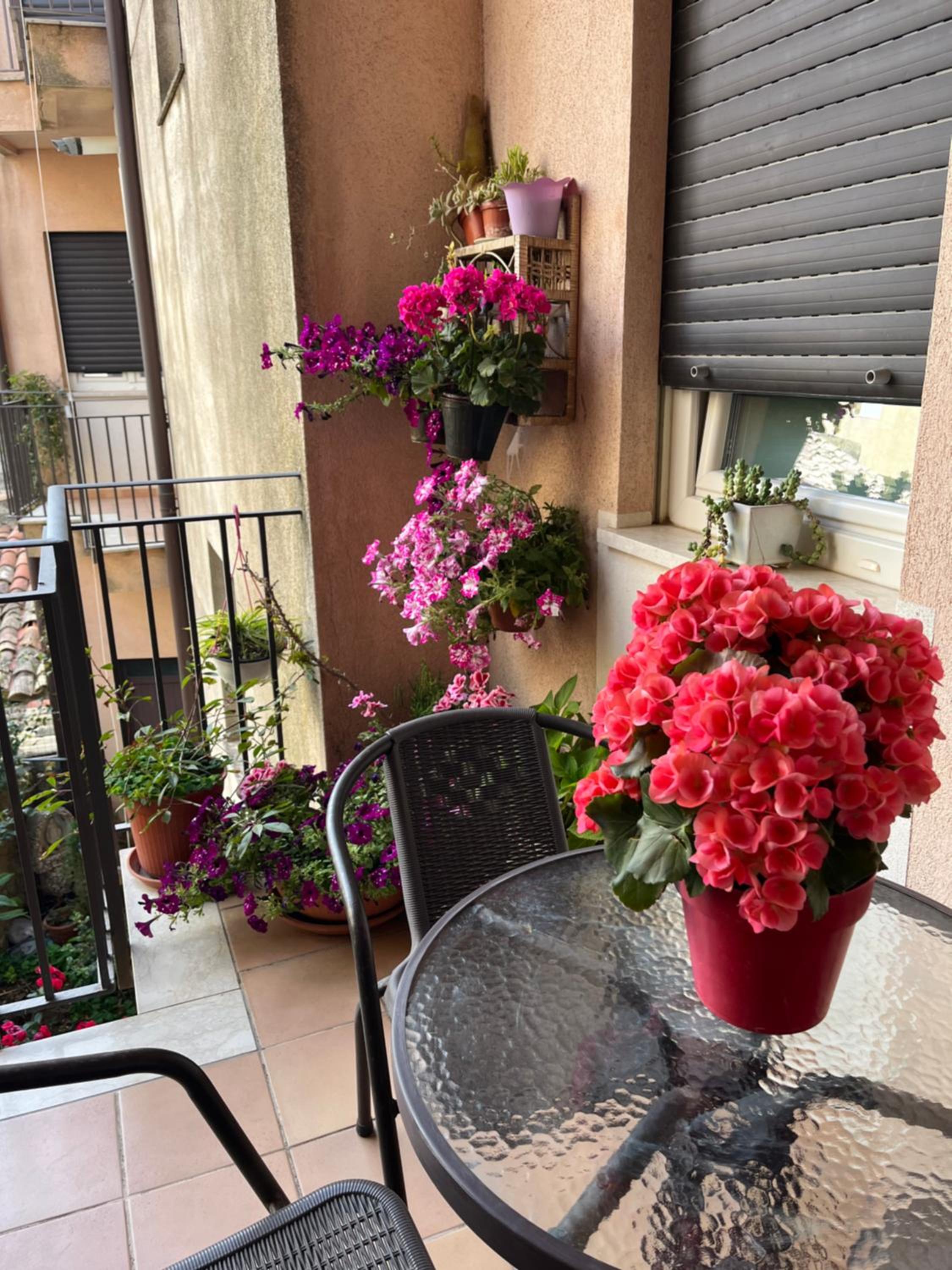 B&B Fleurs view 4