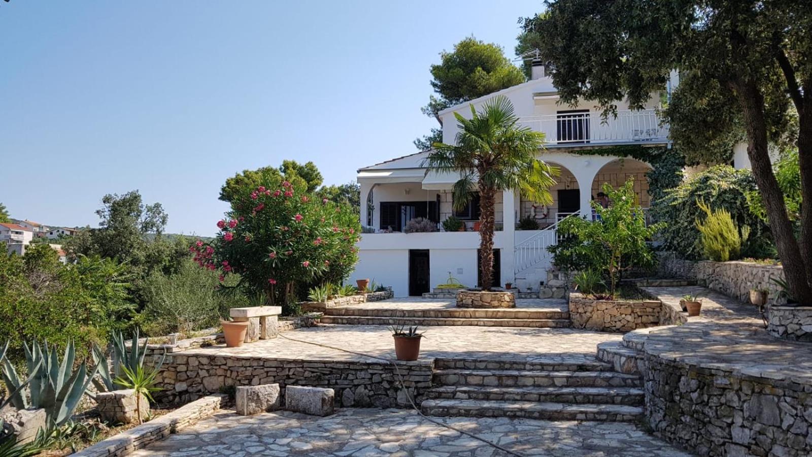 Apartment in Maslinica 70m from the sea