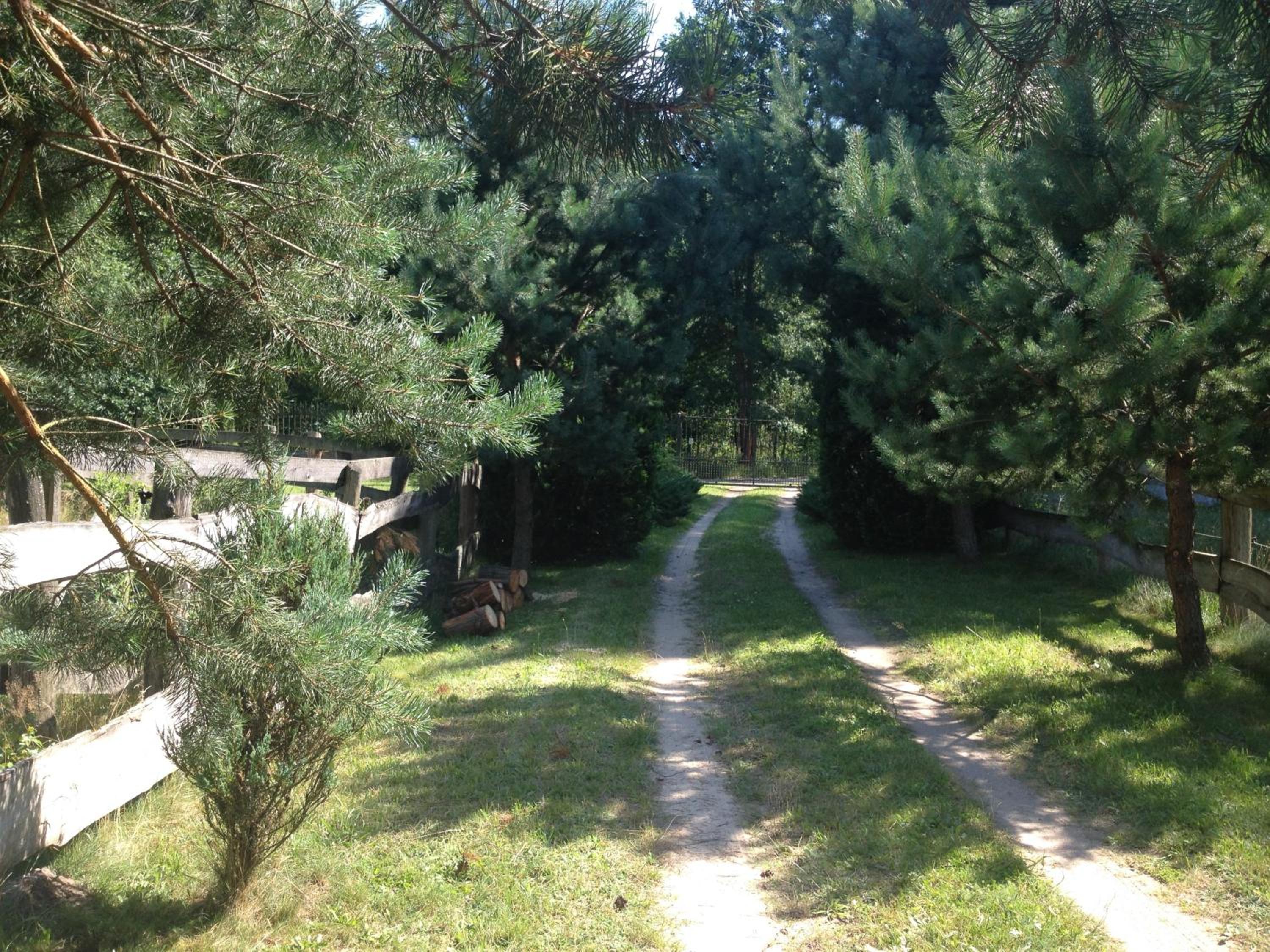 Photo 37