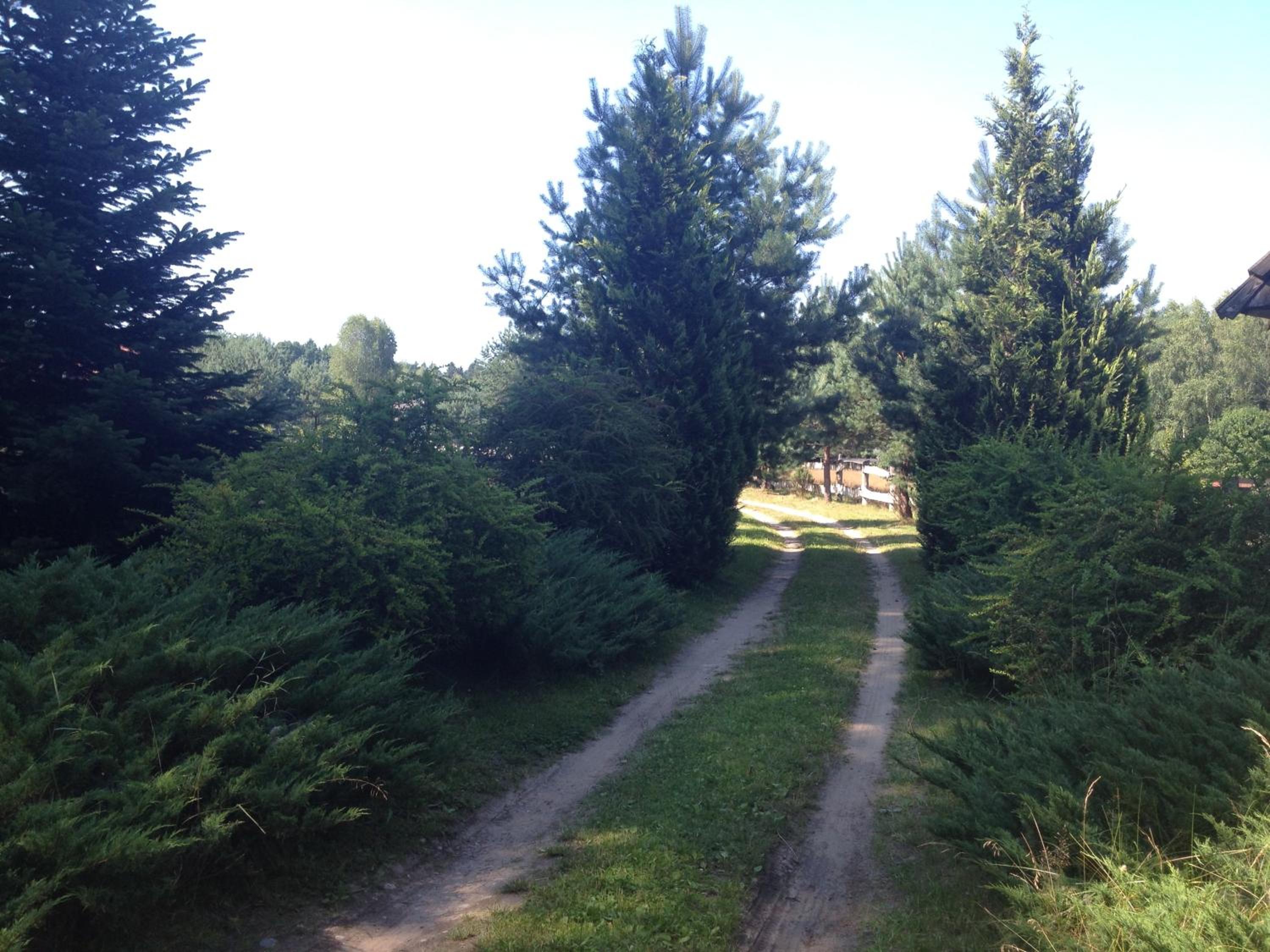 Photo 40