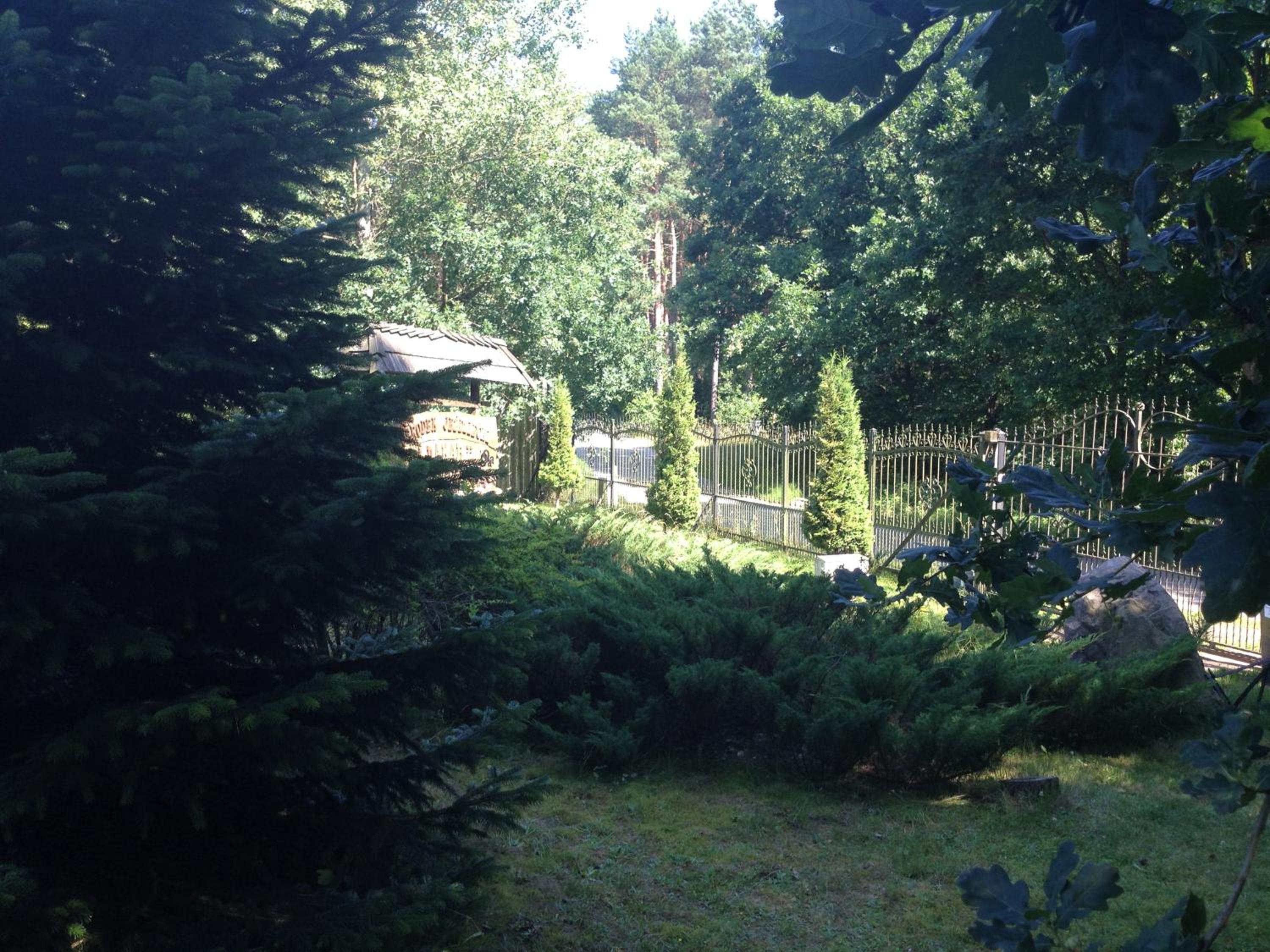 Photo 41