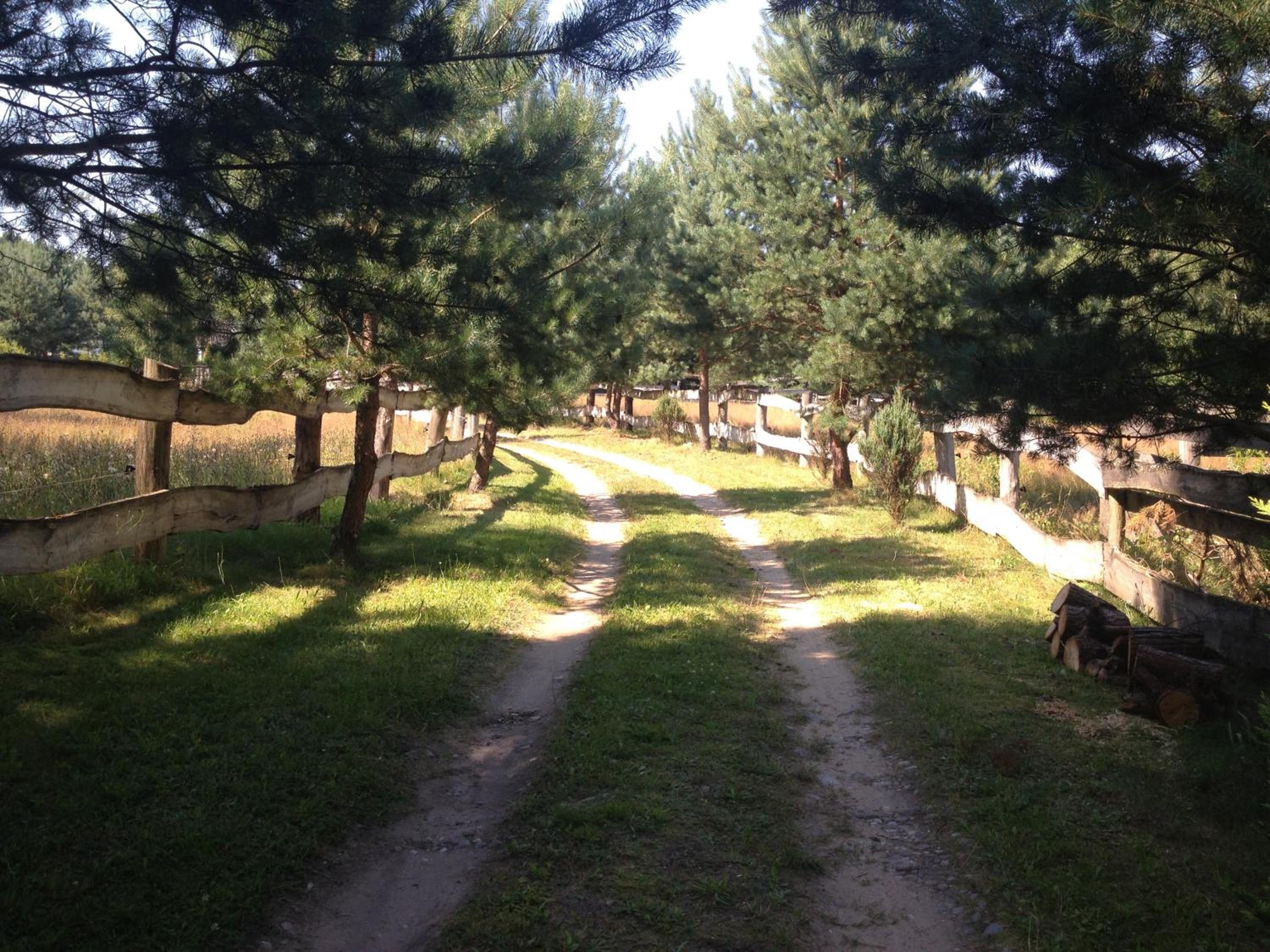 Photo 42