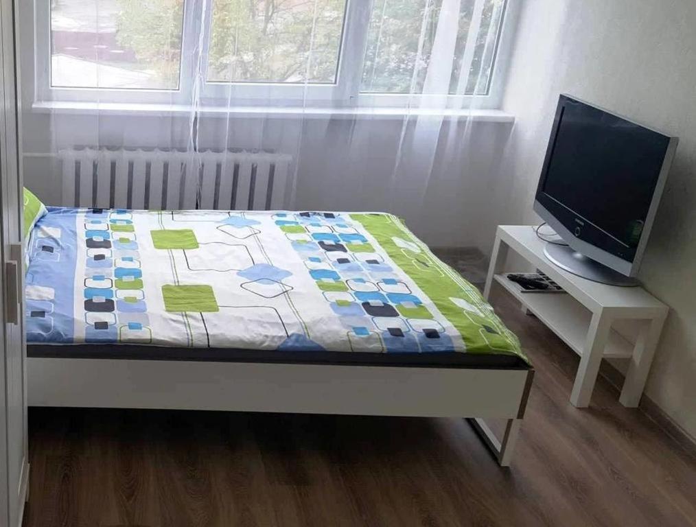 Photo 8