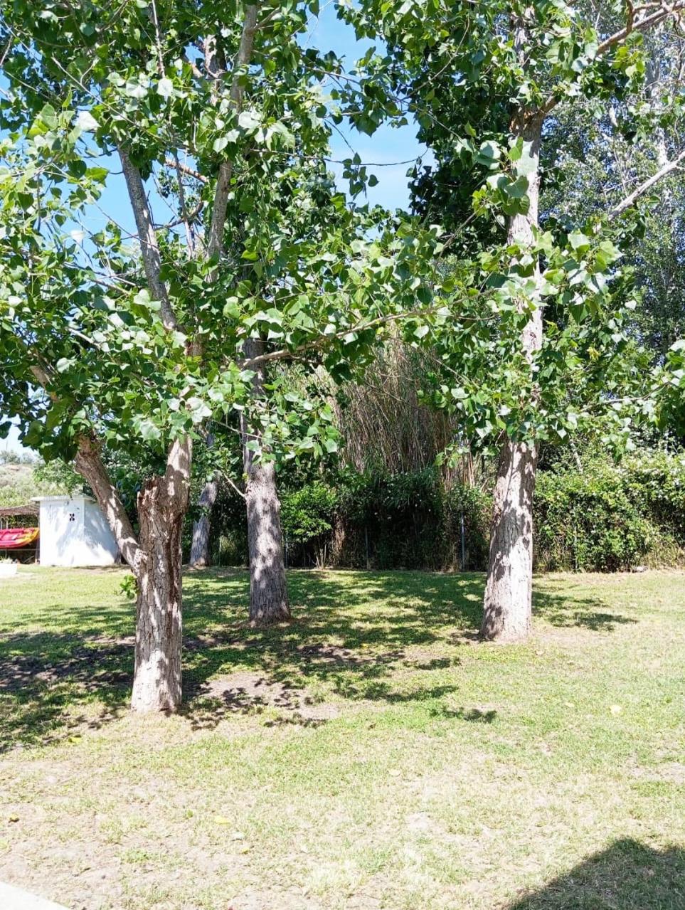 Villa Elena view 2
