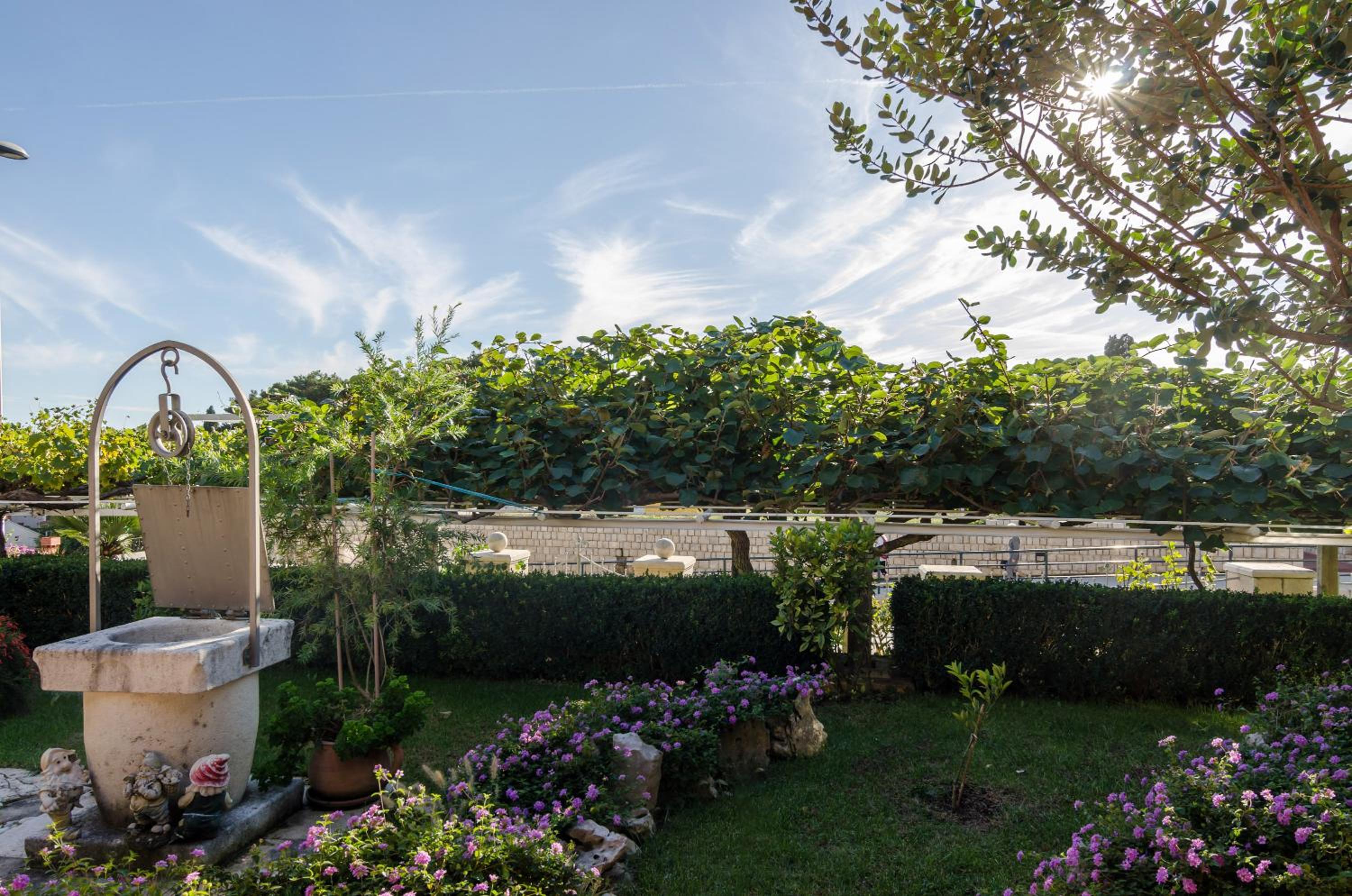 Guest House Jelica