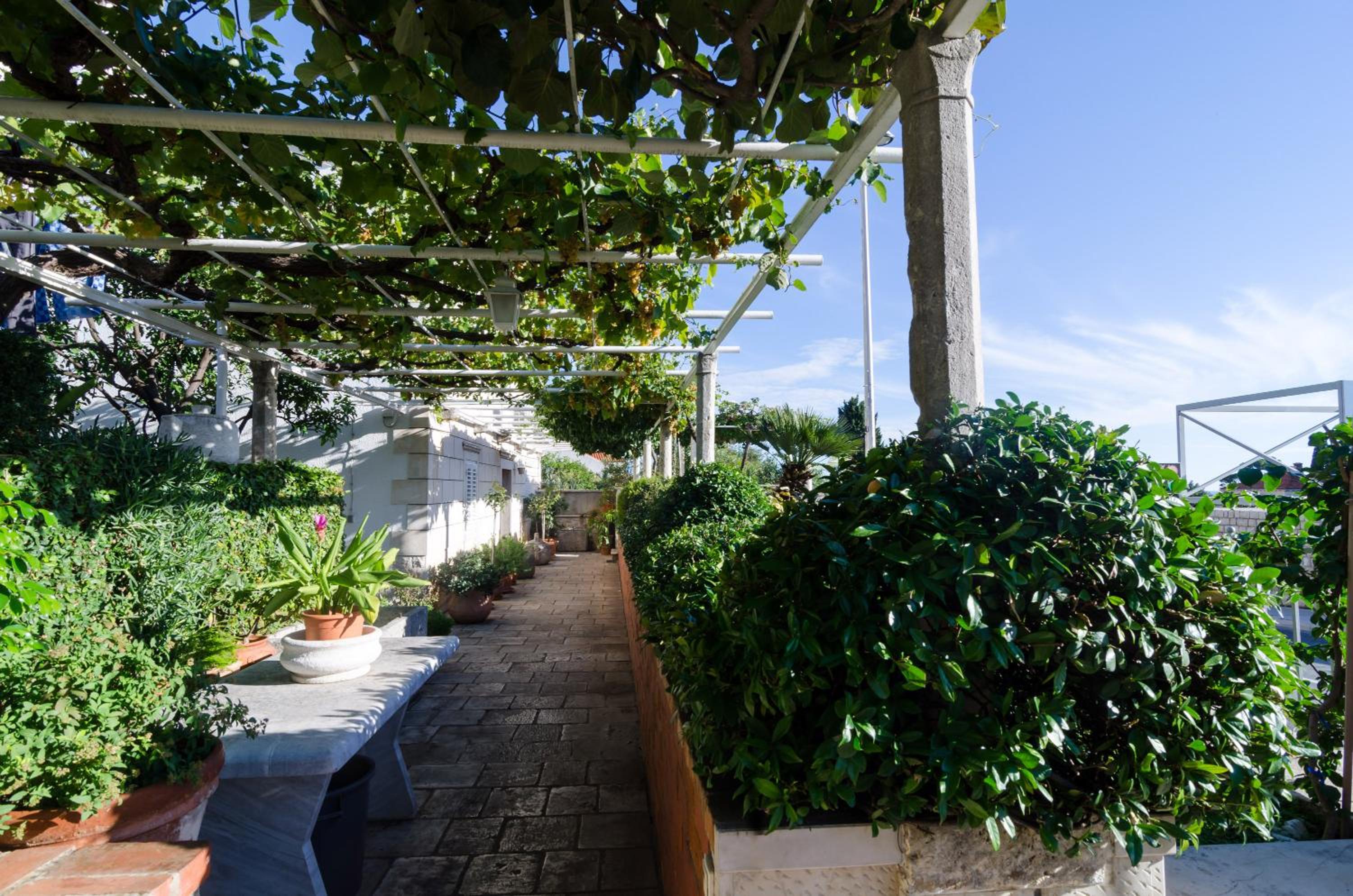 Guest House Jelica