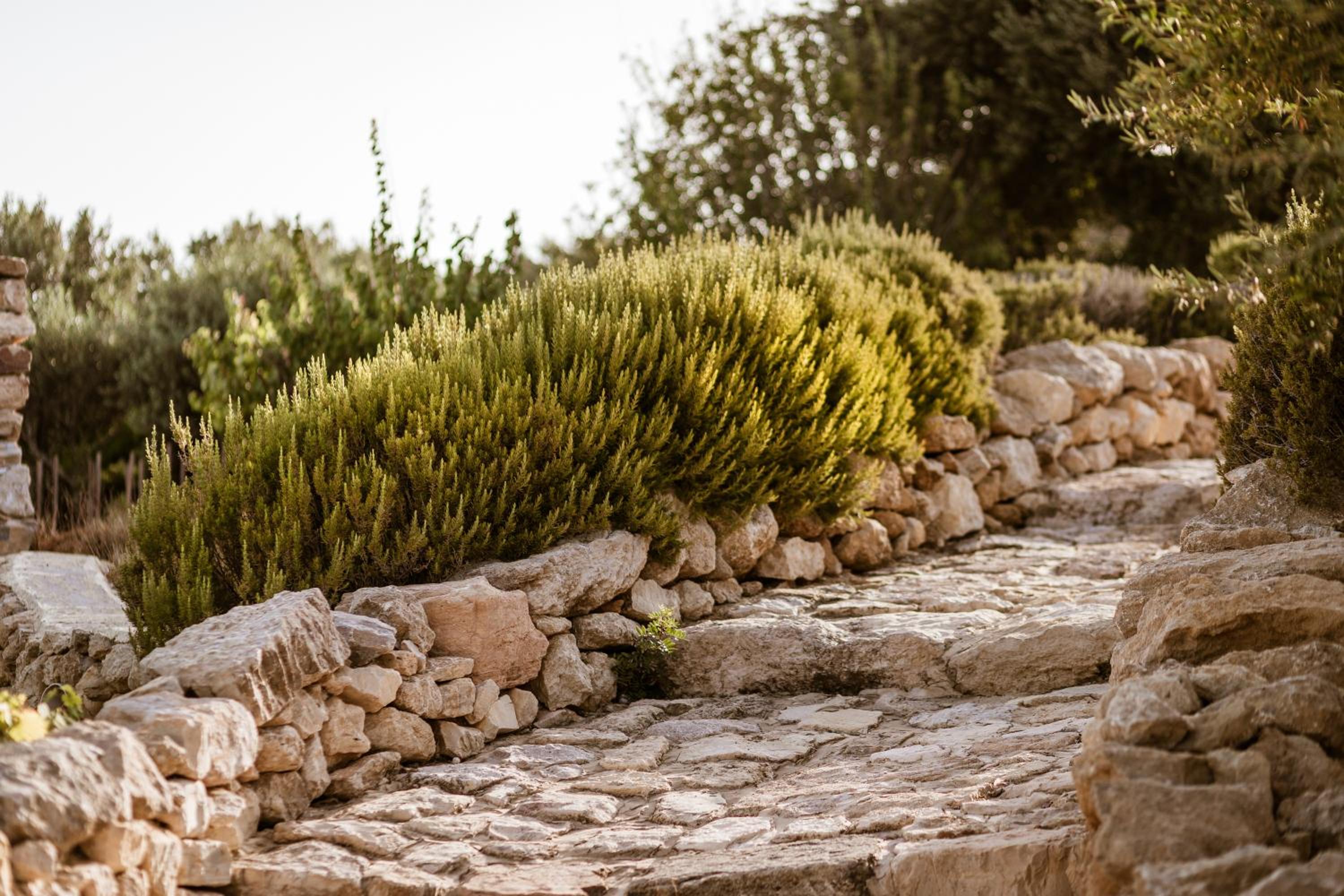 Cemilion
