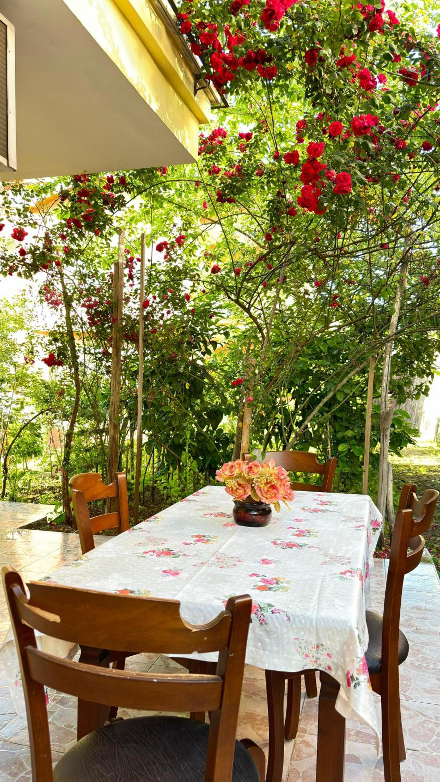 Paradise Villa Trabzon view 4