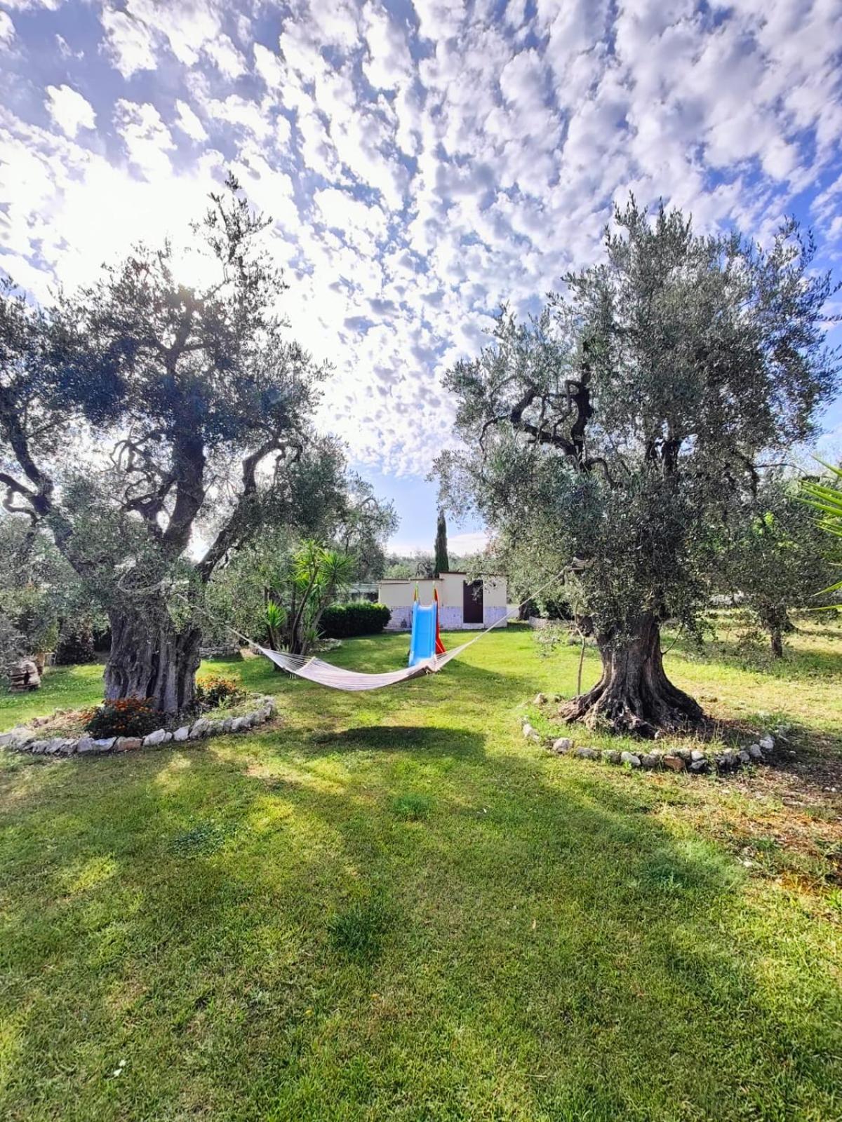Villa Fenice Bed & Breakfast