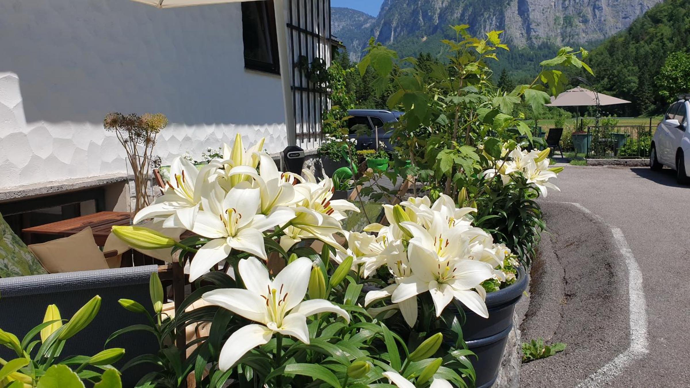 Haus Alpenblick