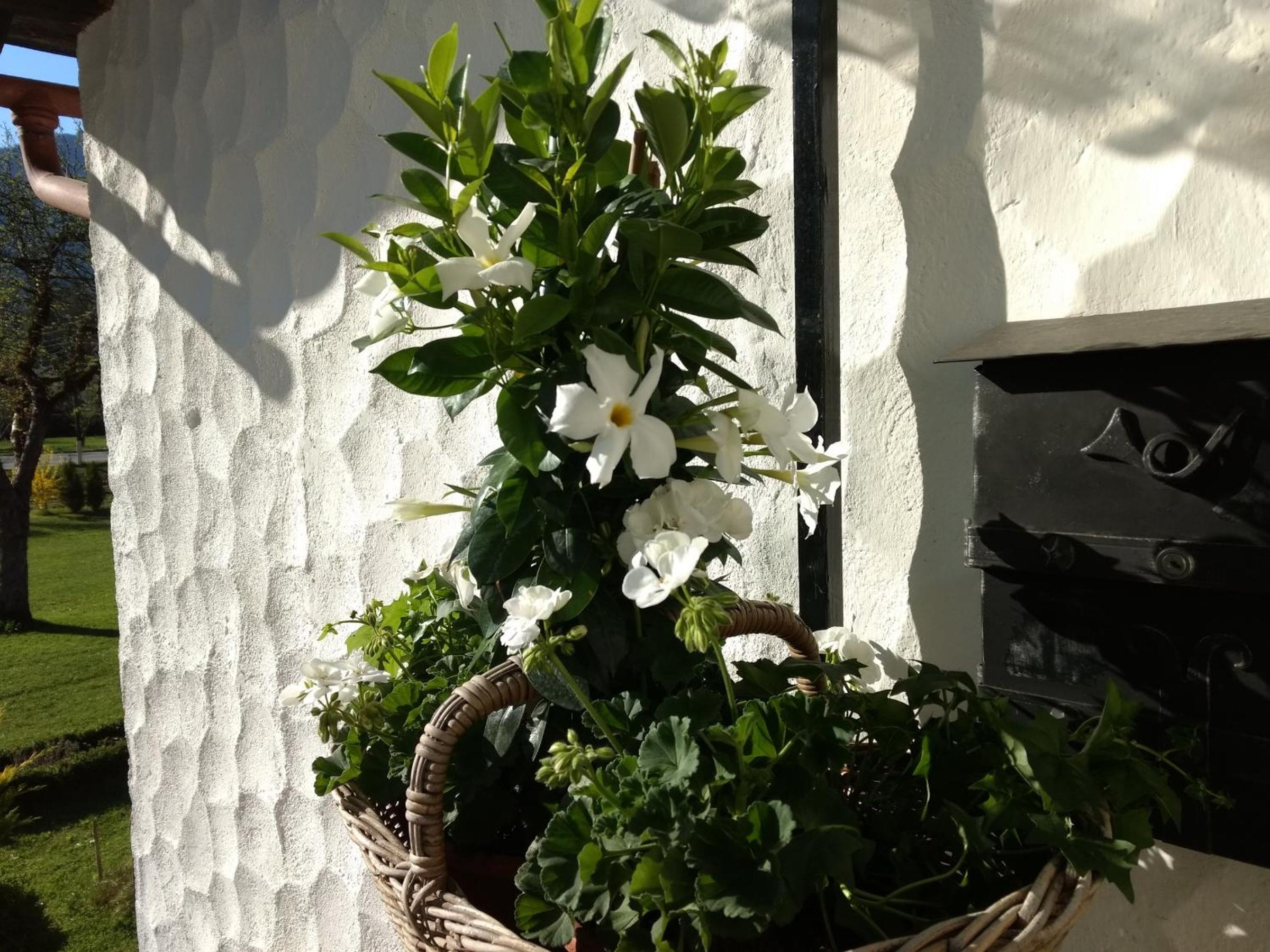 Haus Alpenblick