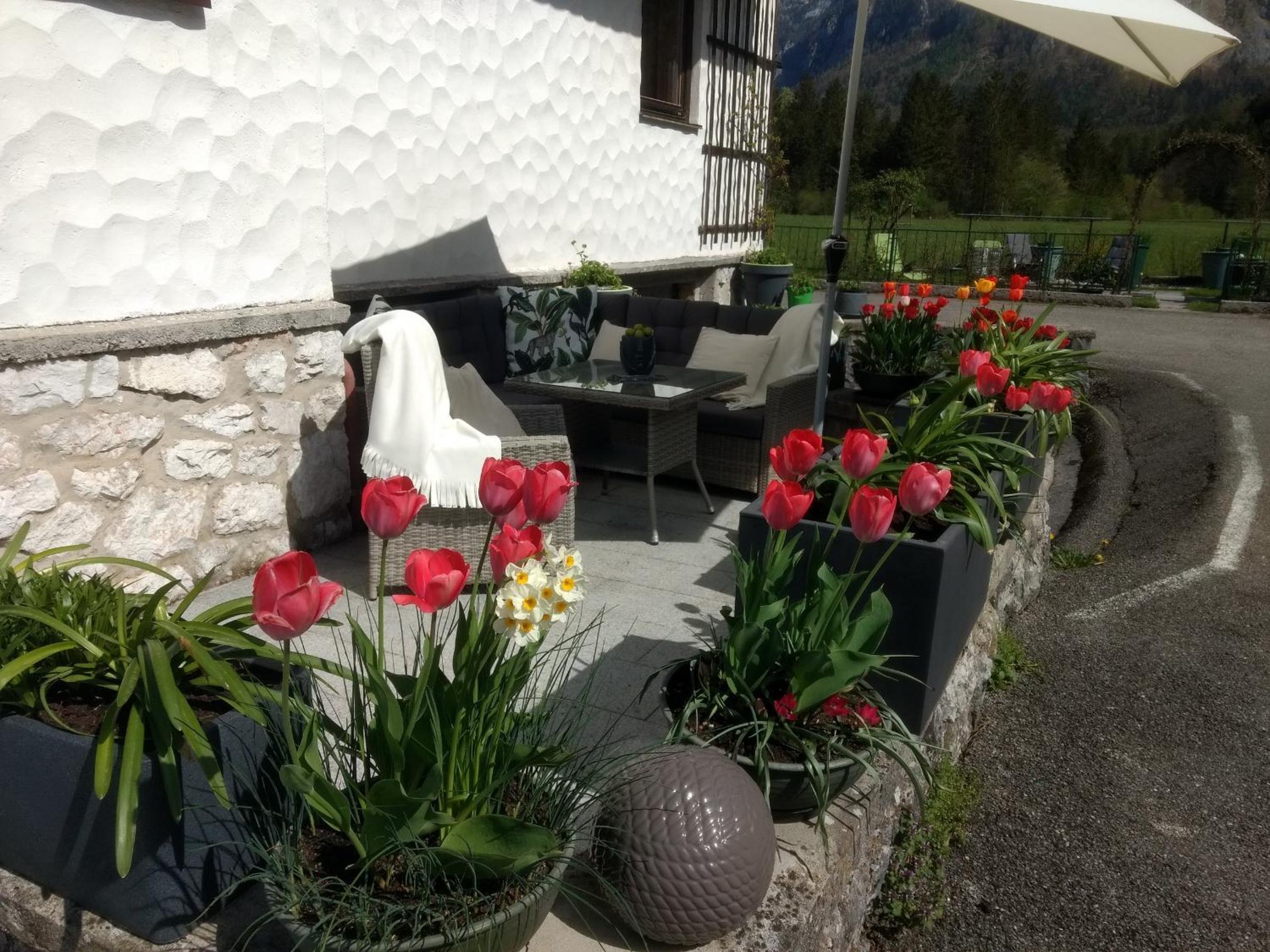 Haus Alpenblick