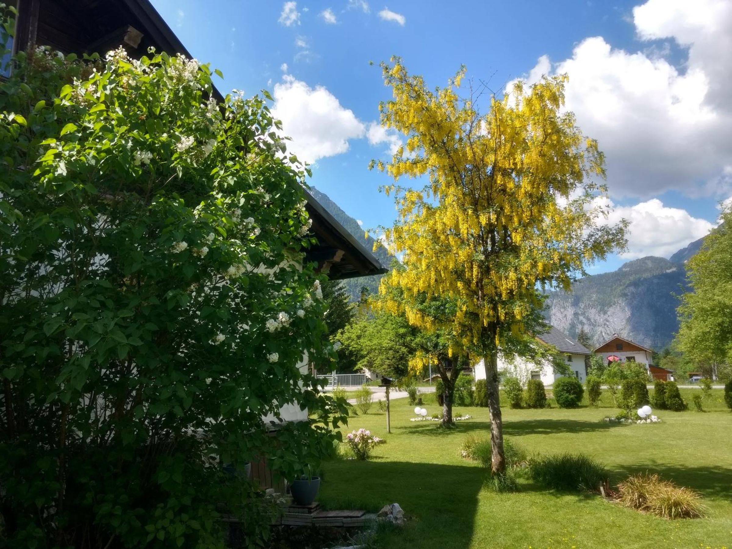 Haus Alpenblick