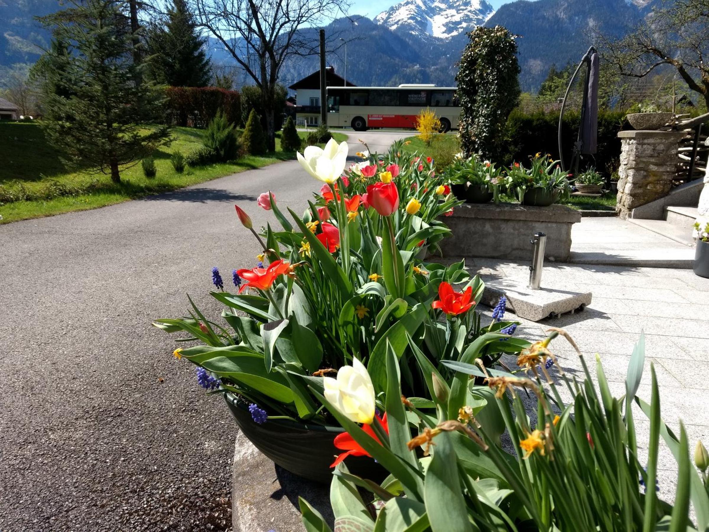 Haus Alpenblick
