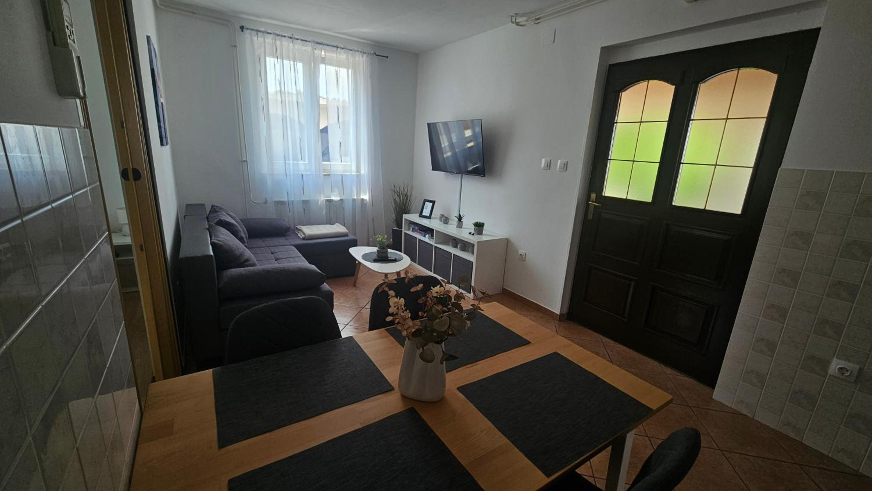 Apartment Danica view 5