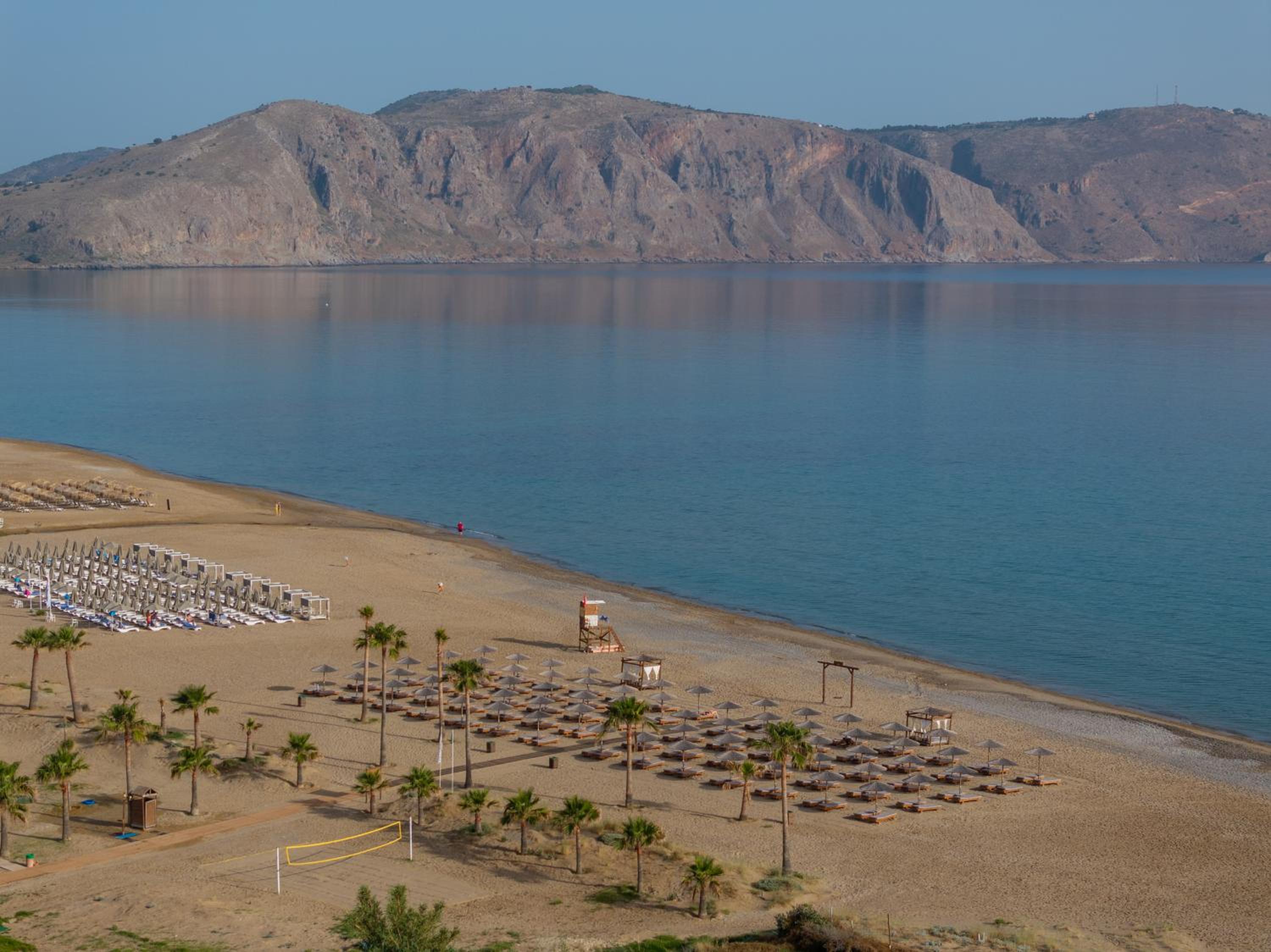 Delfina Tropic Beach