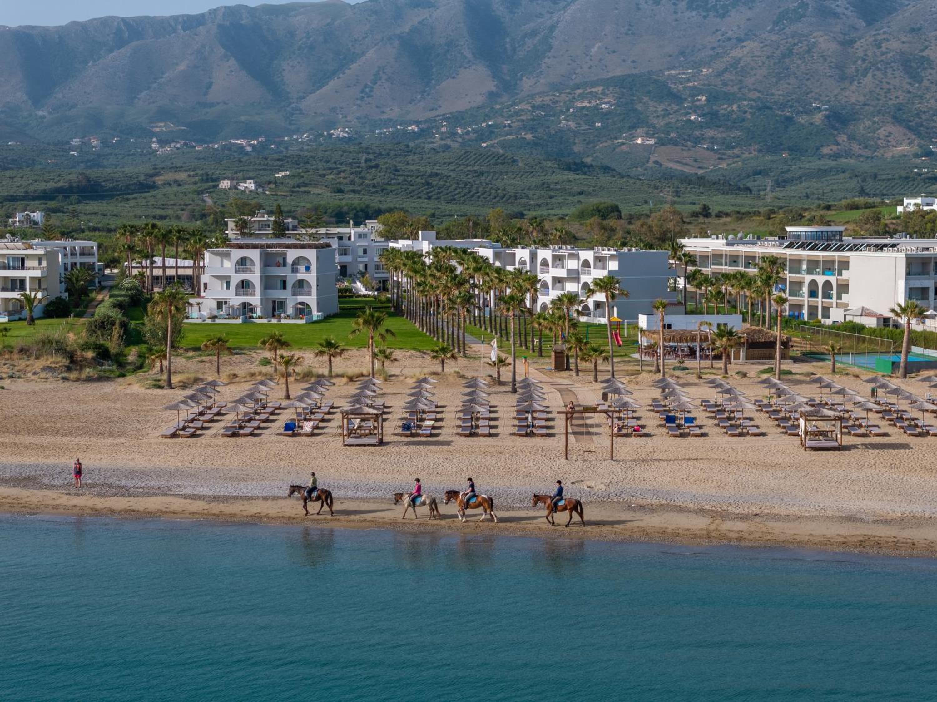 Delfina Tropic Beach