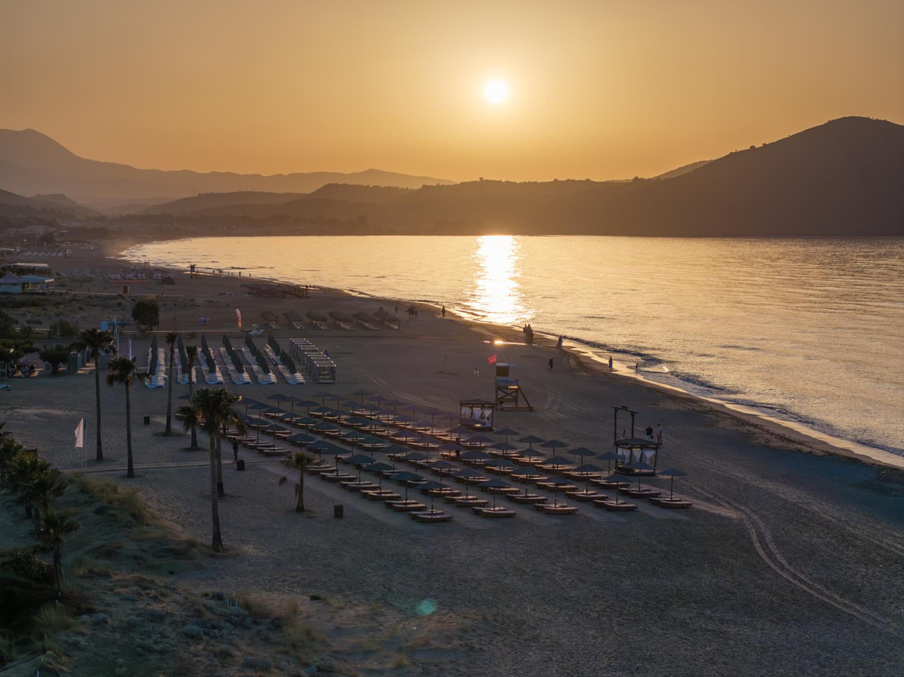 Delfina Tropic Beach