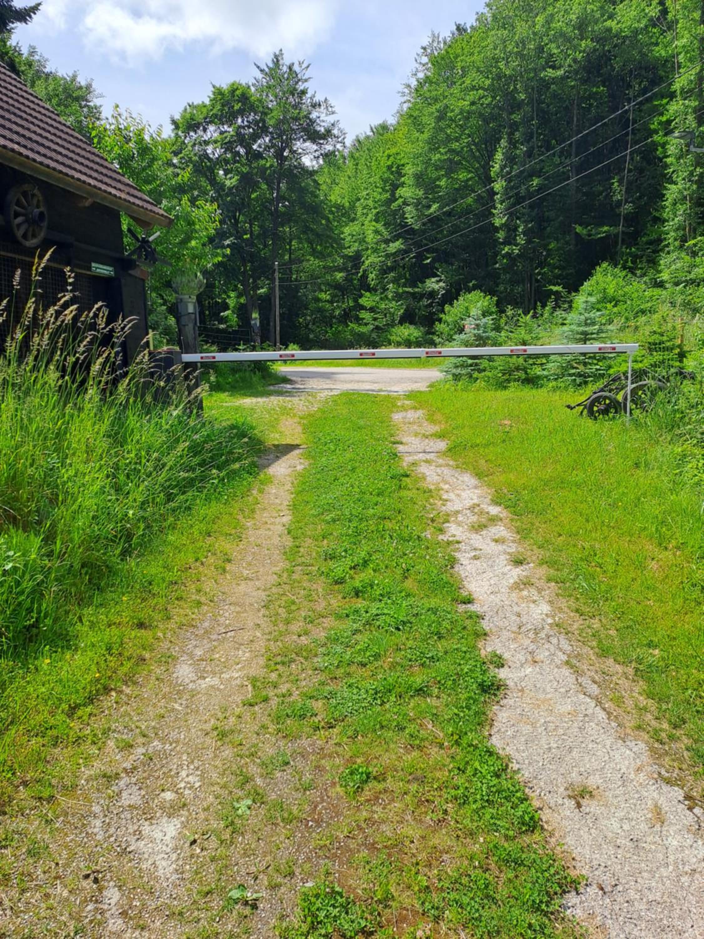 Photo 45