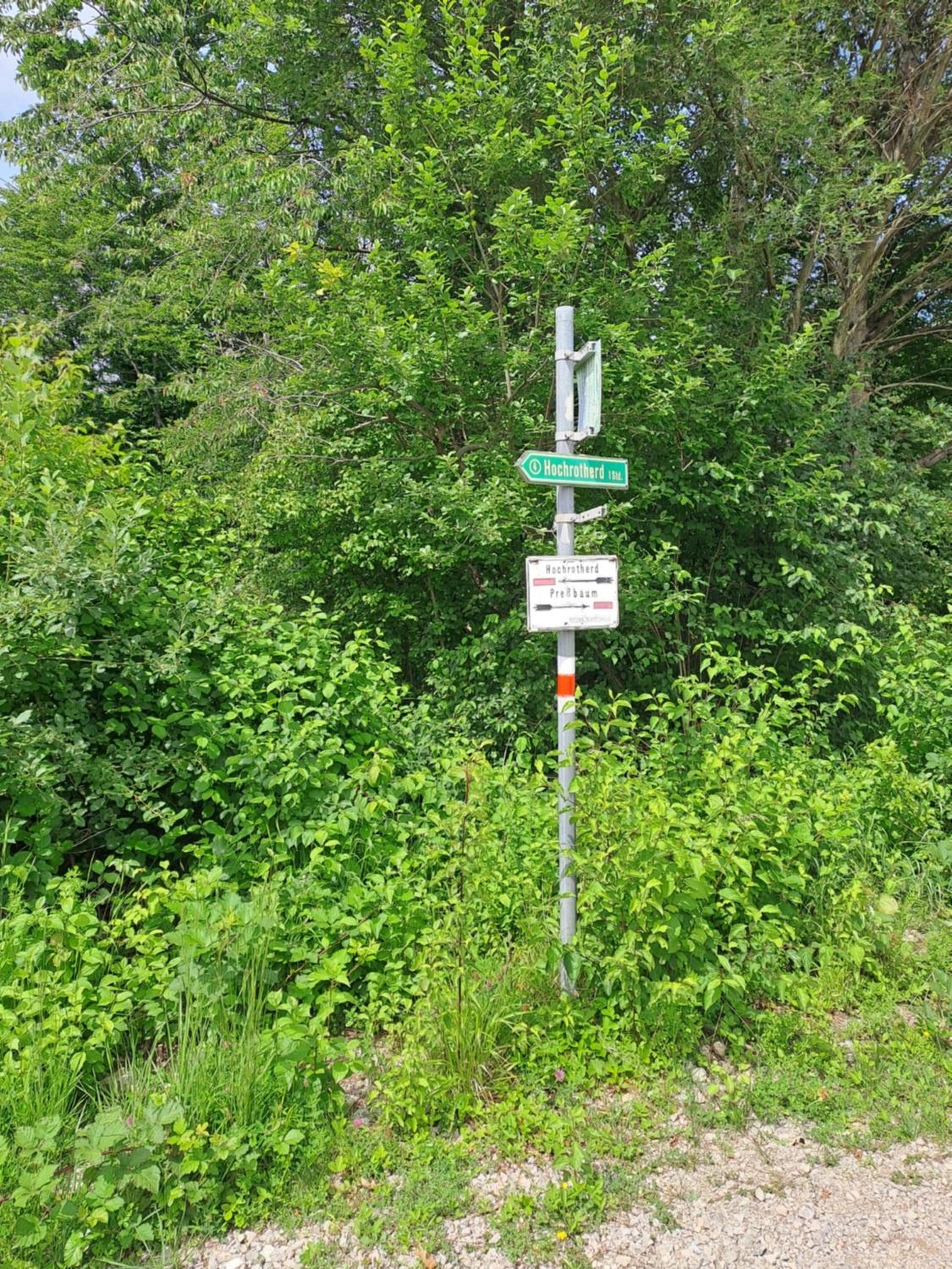 Photo 50