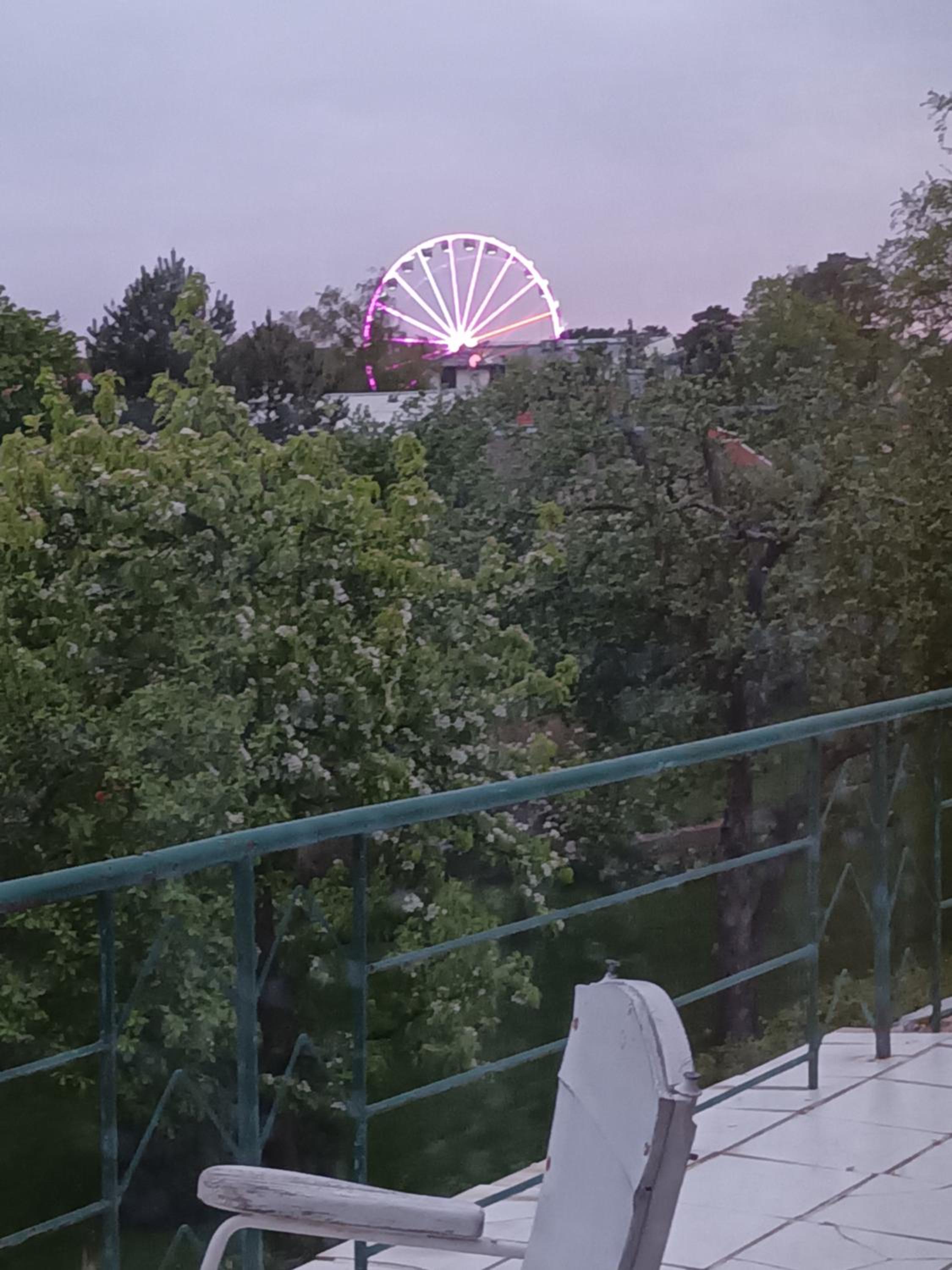 Pas Emilija en Palanga