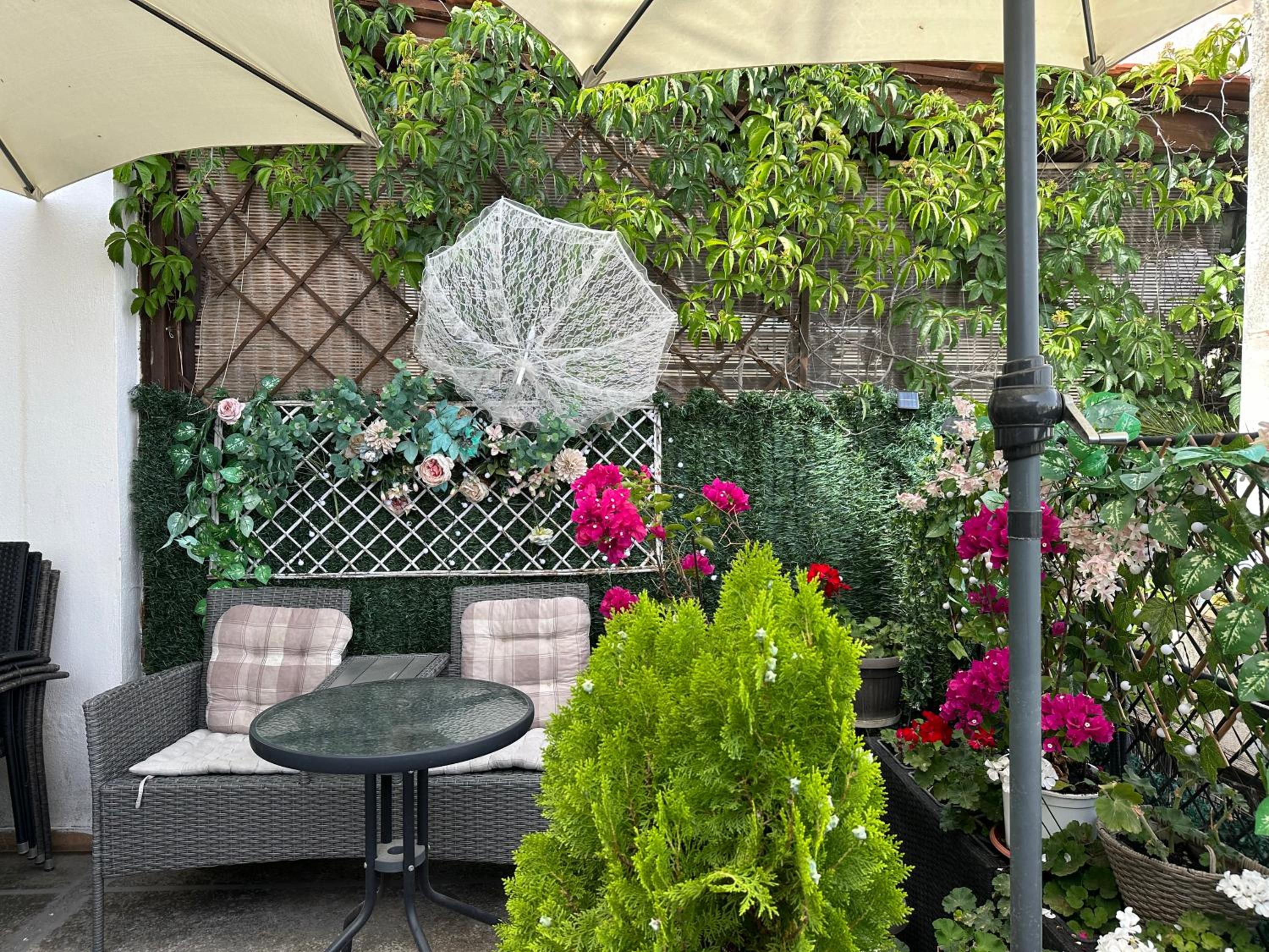 Vivi Studio with Yard view 2