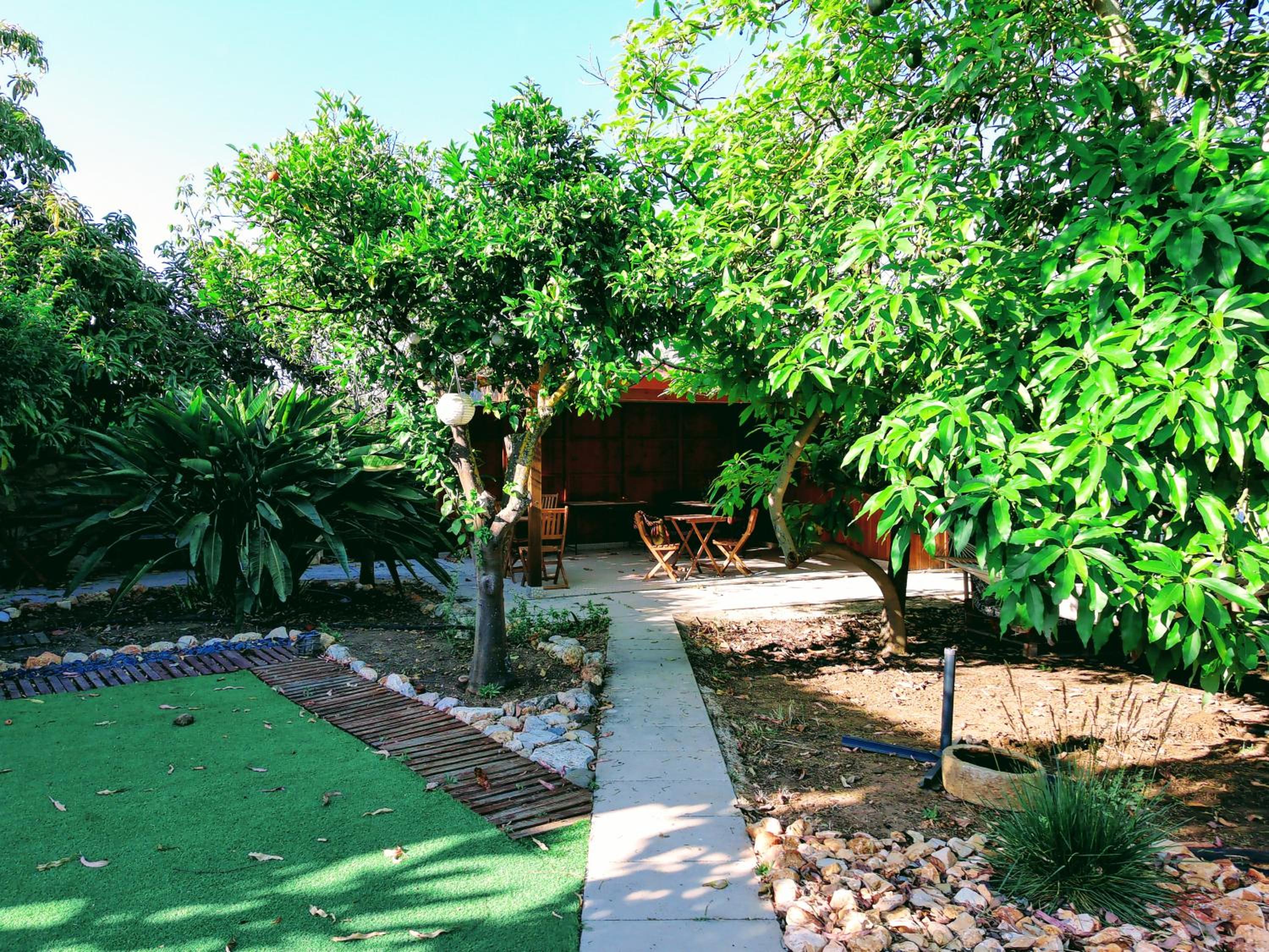 Photo 41