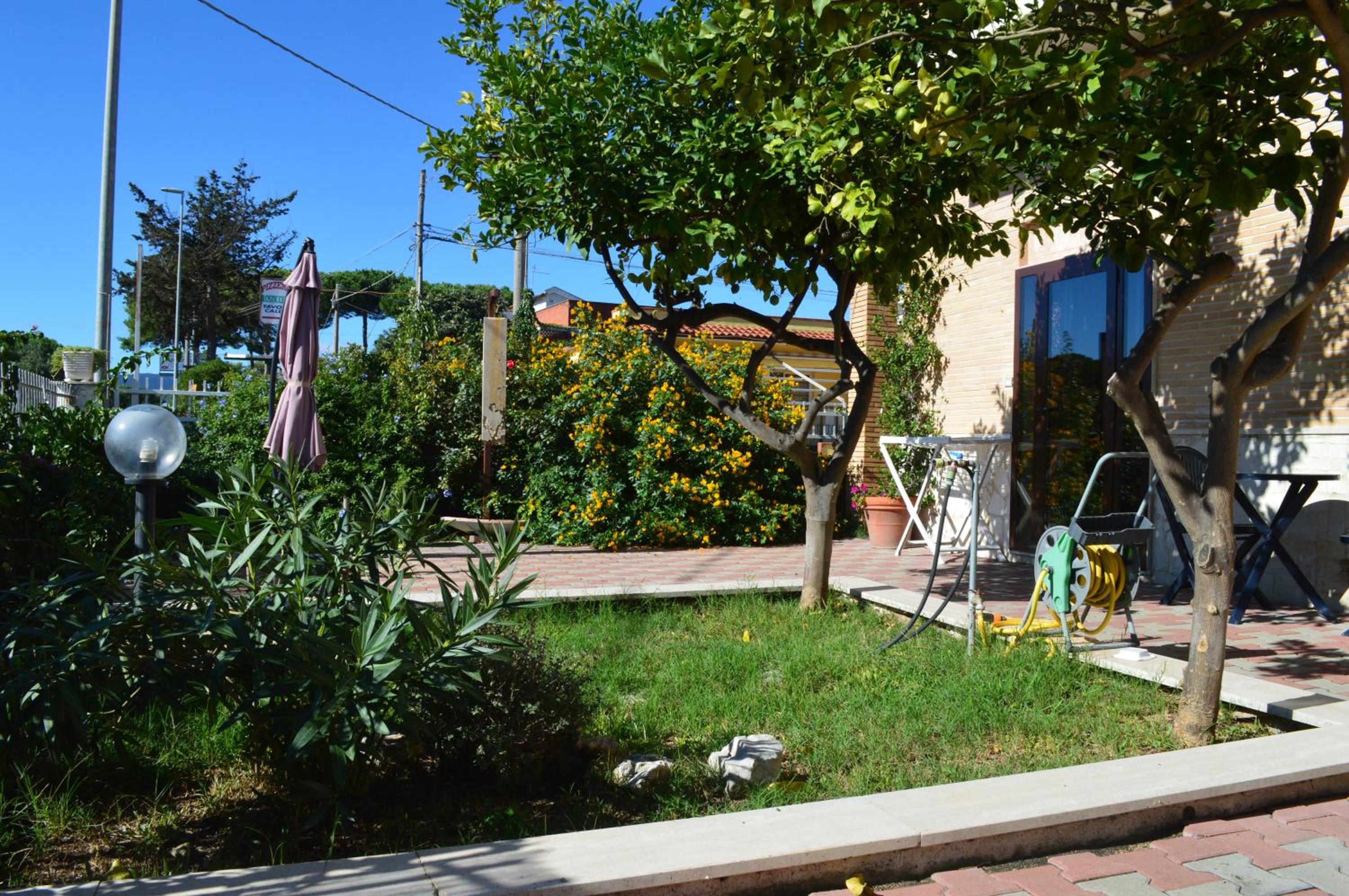 Photo 8