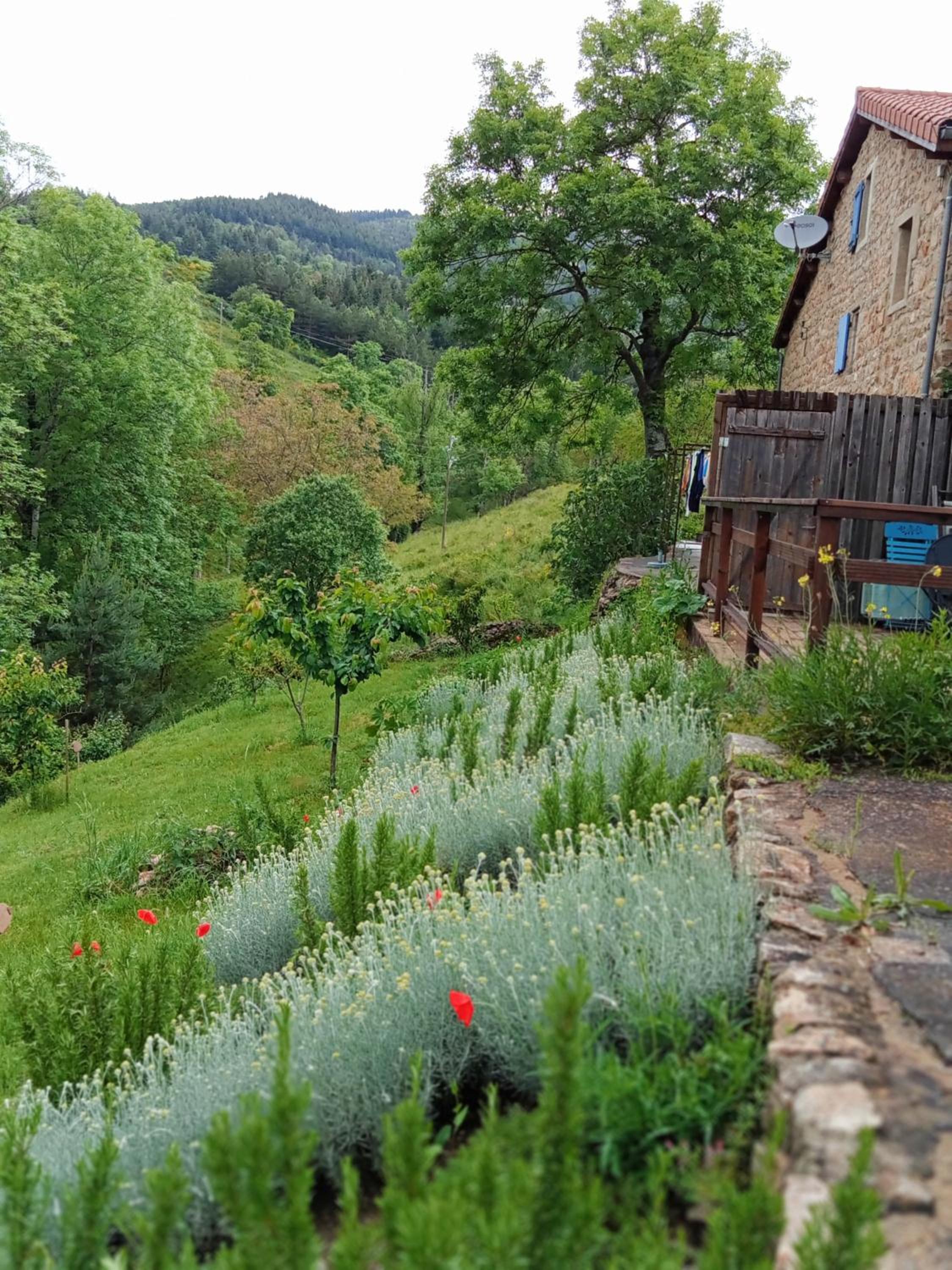 Au Jardin Retrouvé view 2