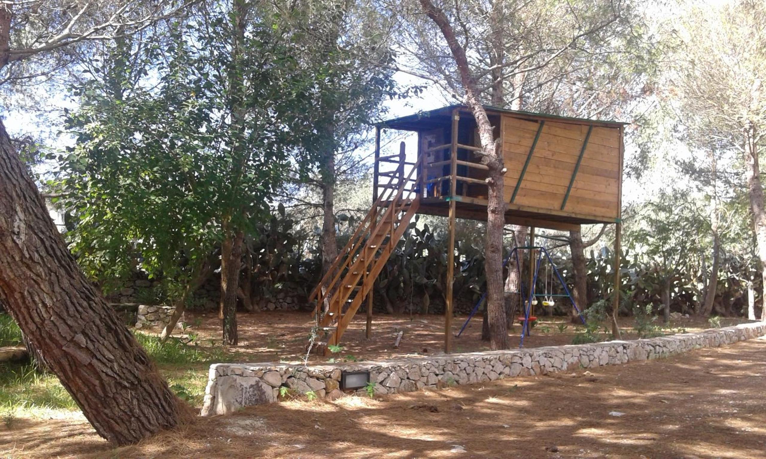Photo 48