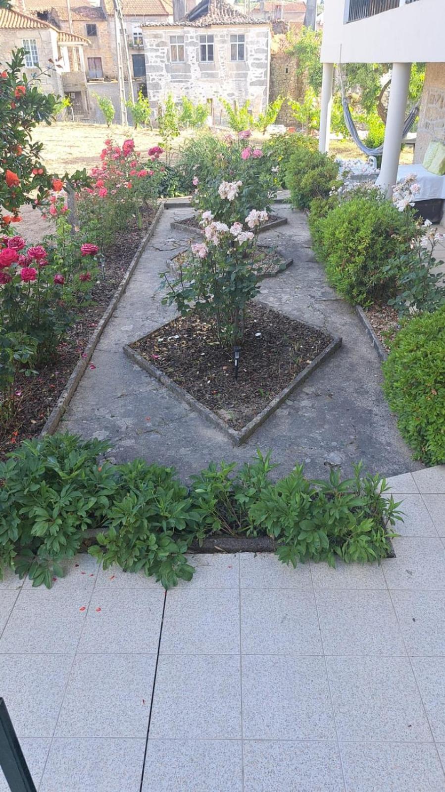 Photo 36