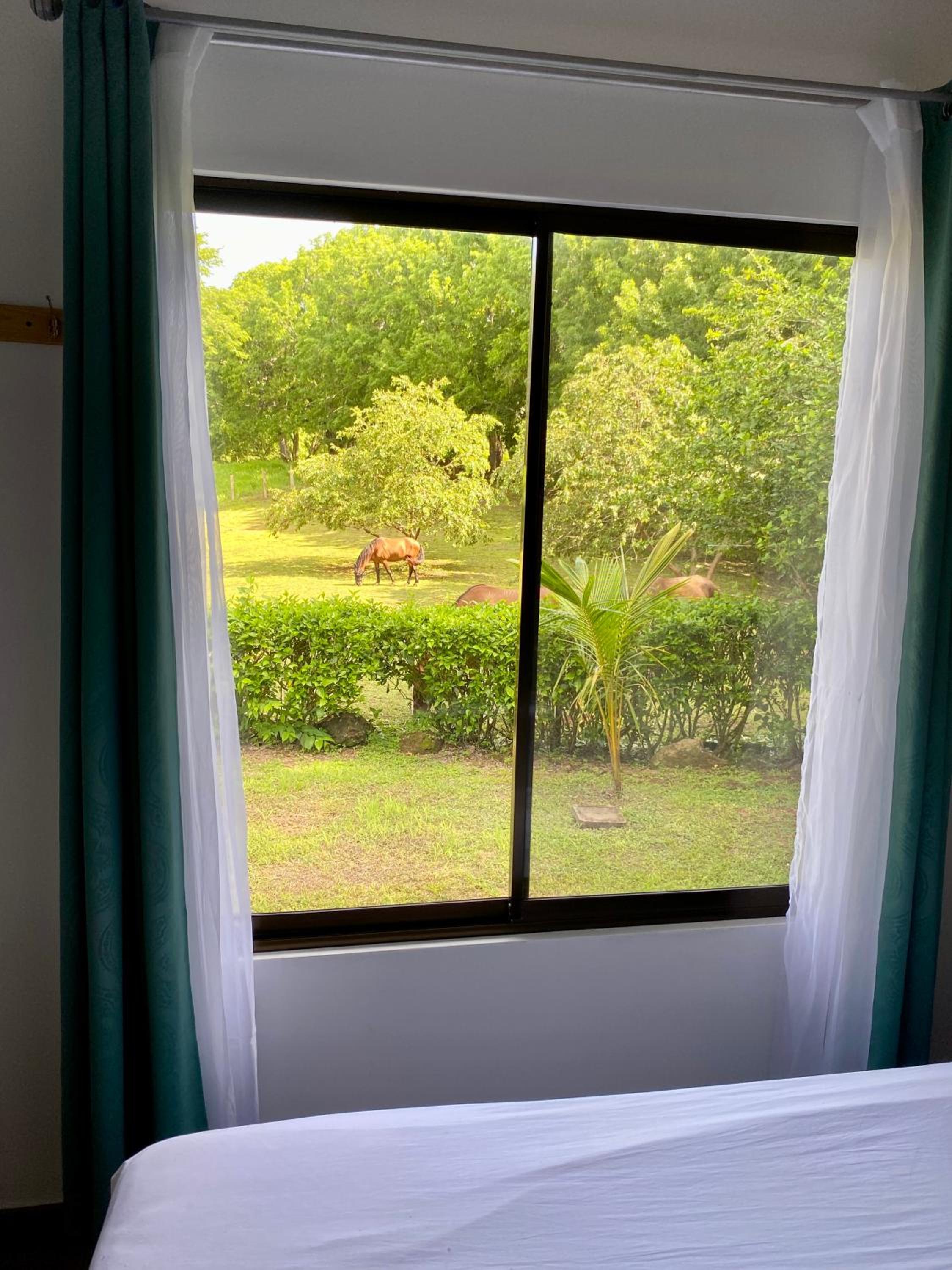 Encantadora Casa Amapolas