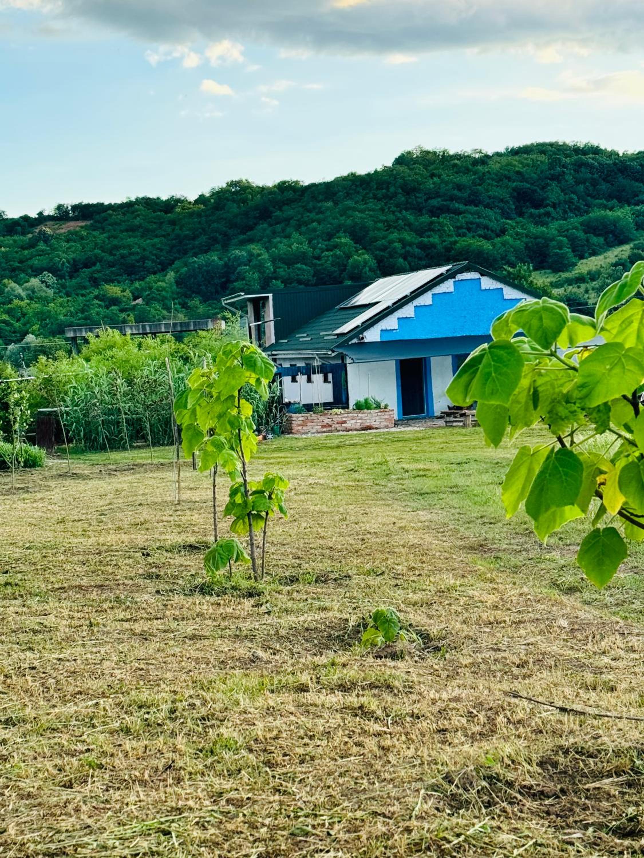 Bambuus Garden & Spa view 4