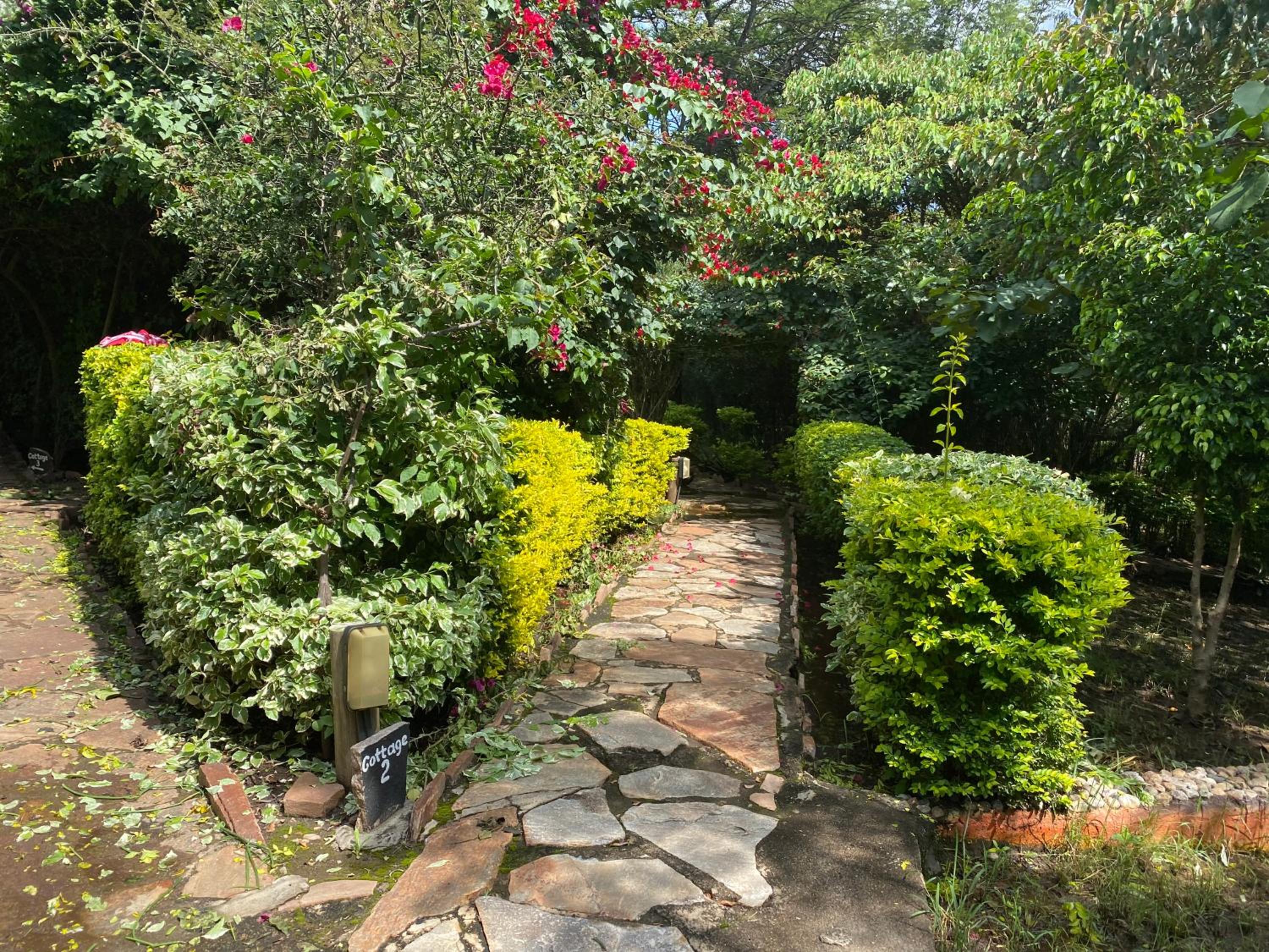 Masai Mara Vacations - Wageni Camp - Property Image 4