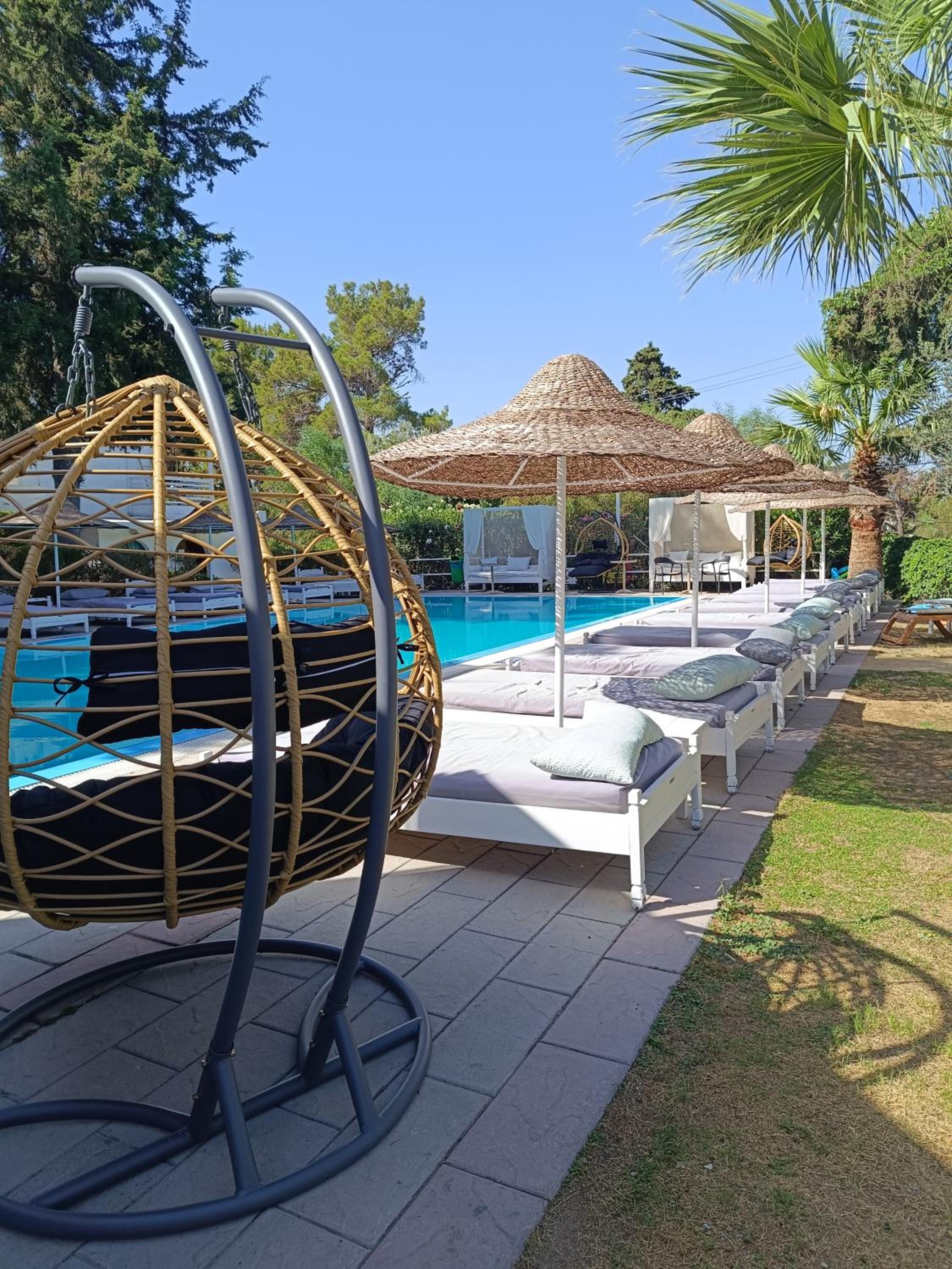 Trees Art Hotel Suites