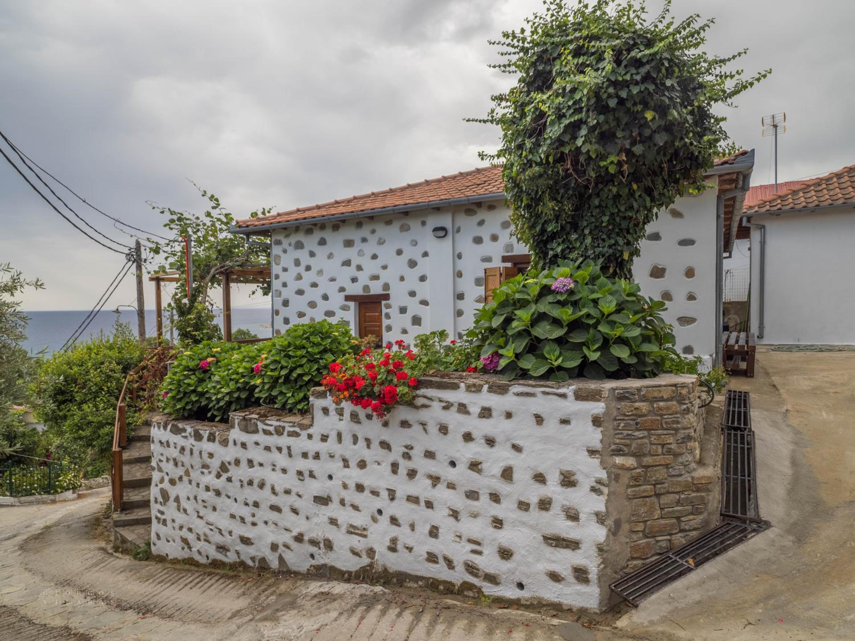 Kiwi Stonehouse photo 3