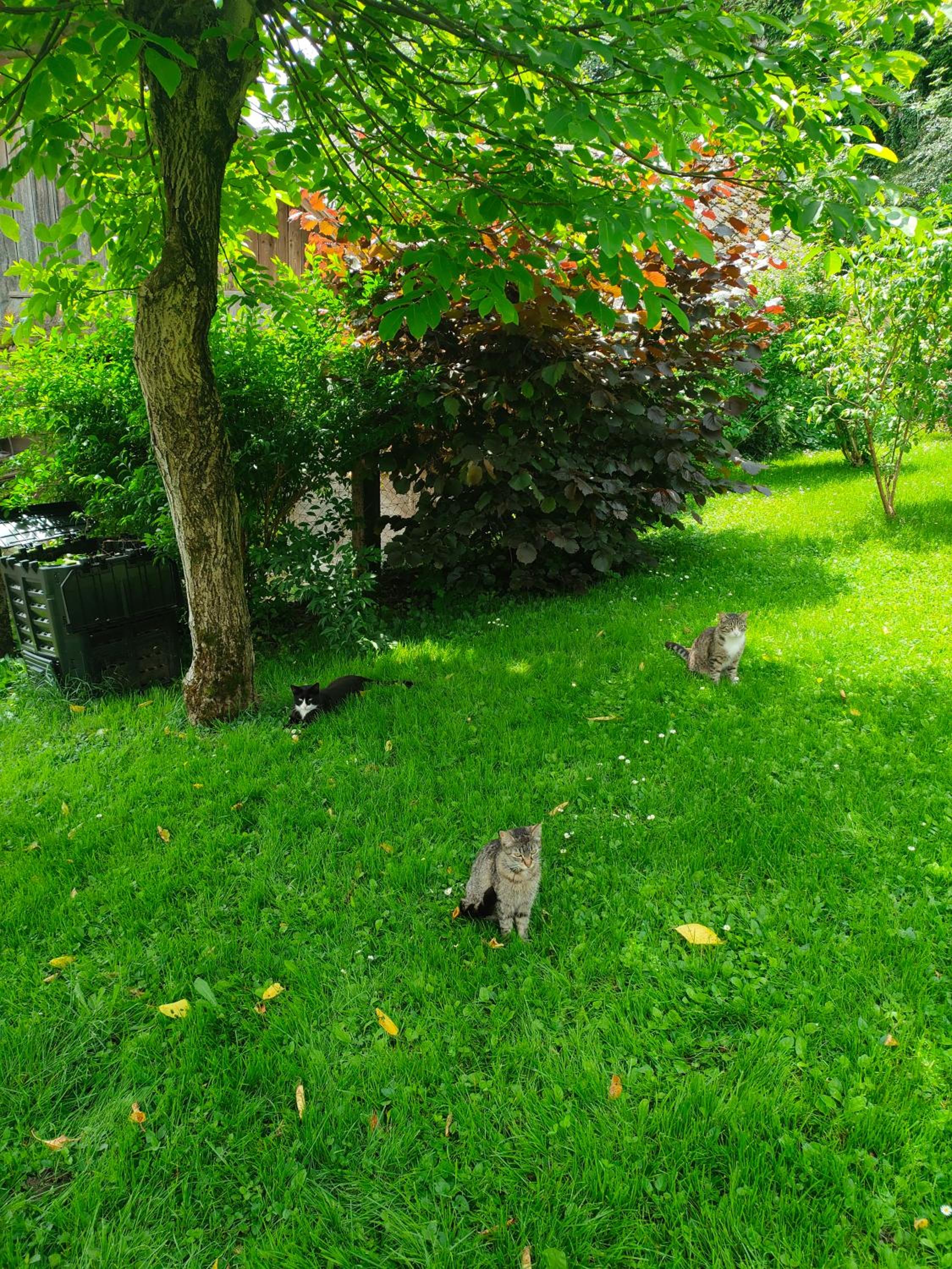 Photo 19