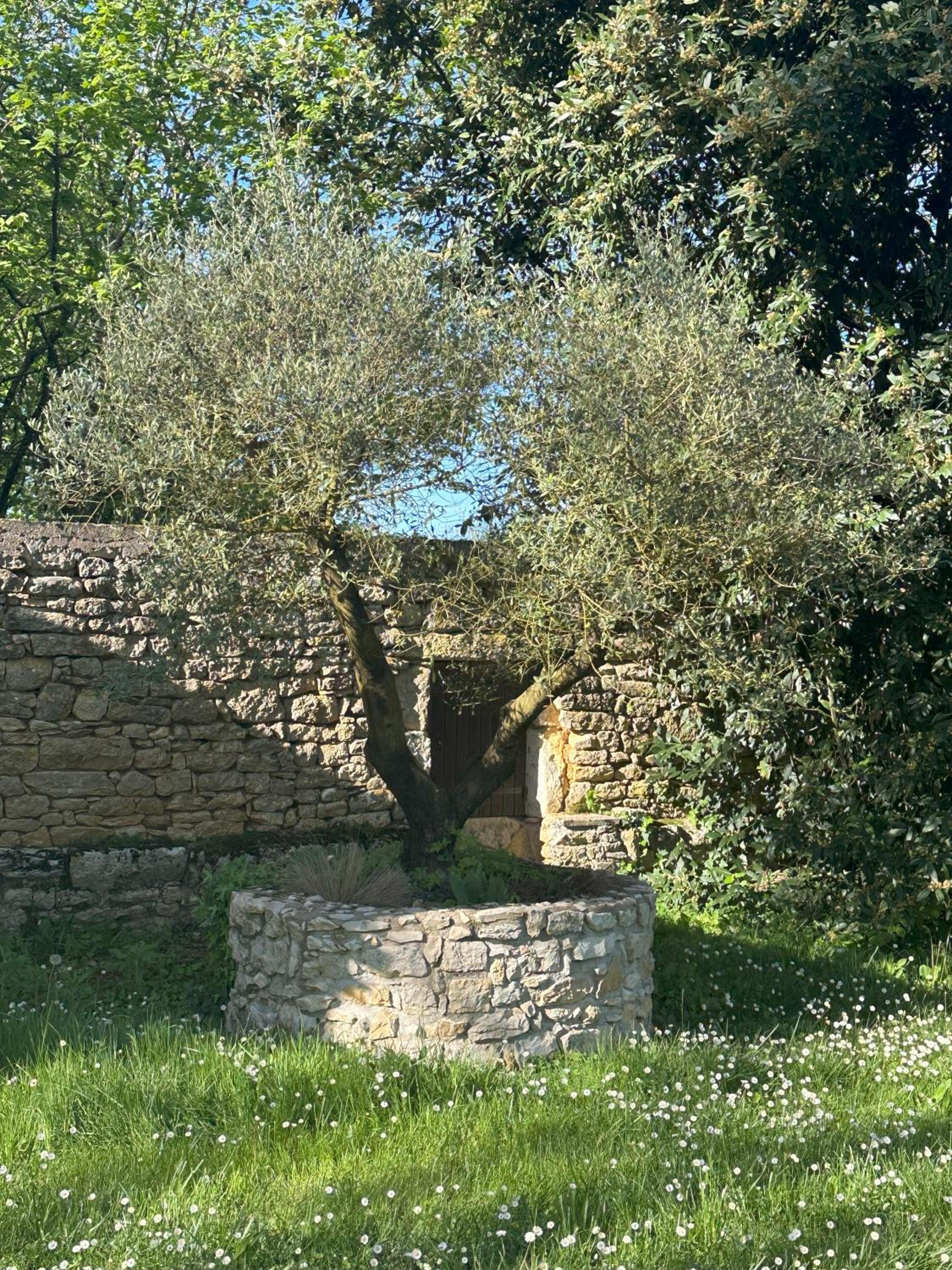 Les Hauts de Sauliès